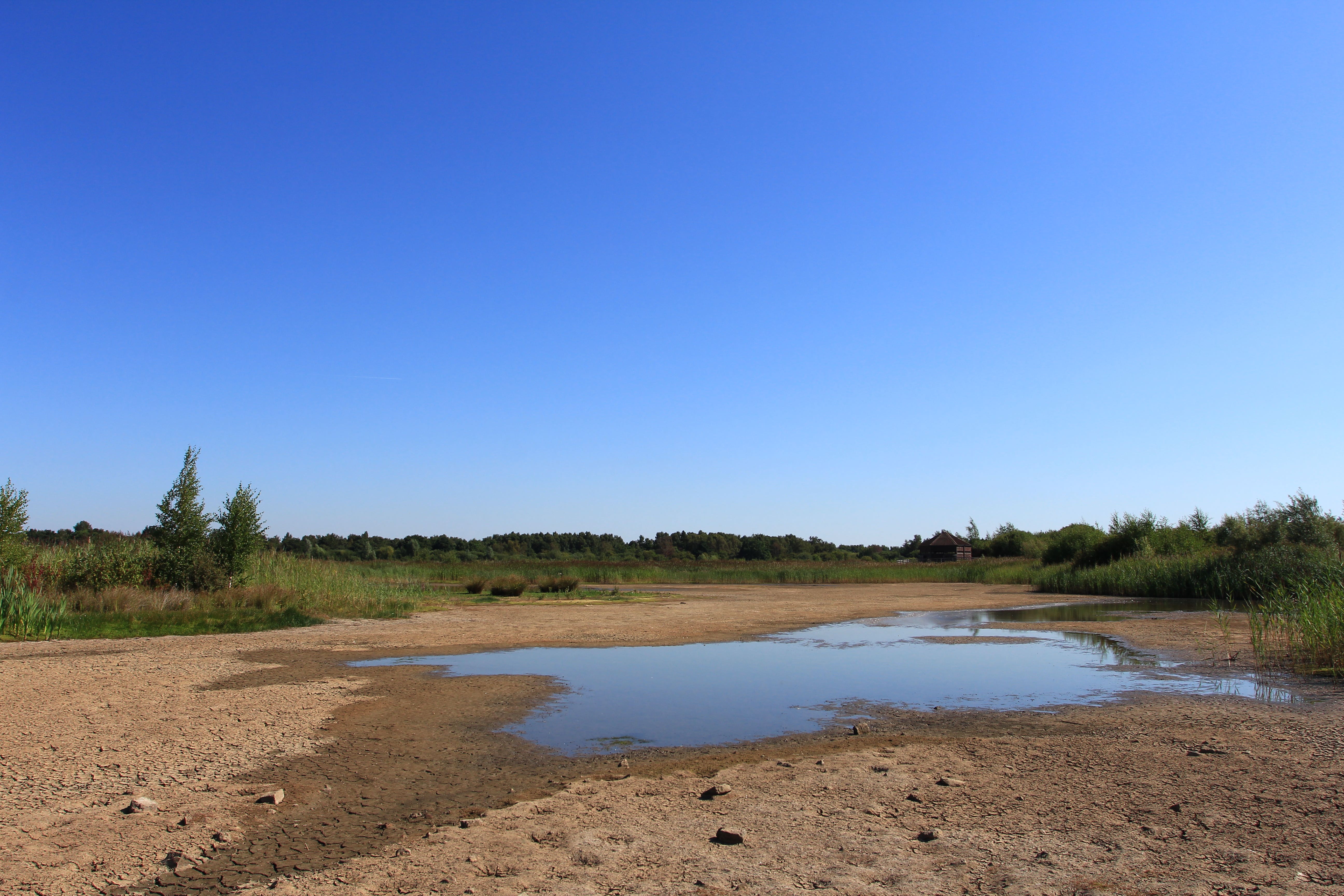 Huxter Well Marsh in Yorkshire nearly completely dry (Jim Horsfall/PA)