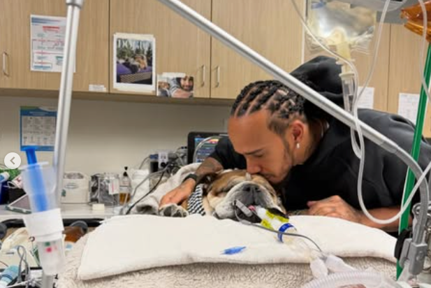 Roscoe has suffered a second bout of pneumonia