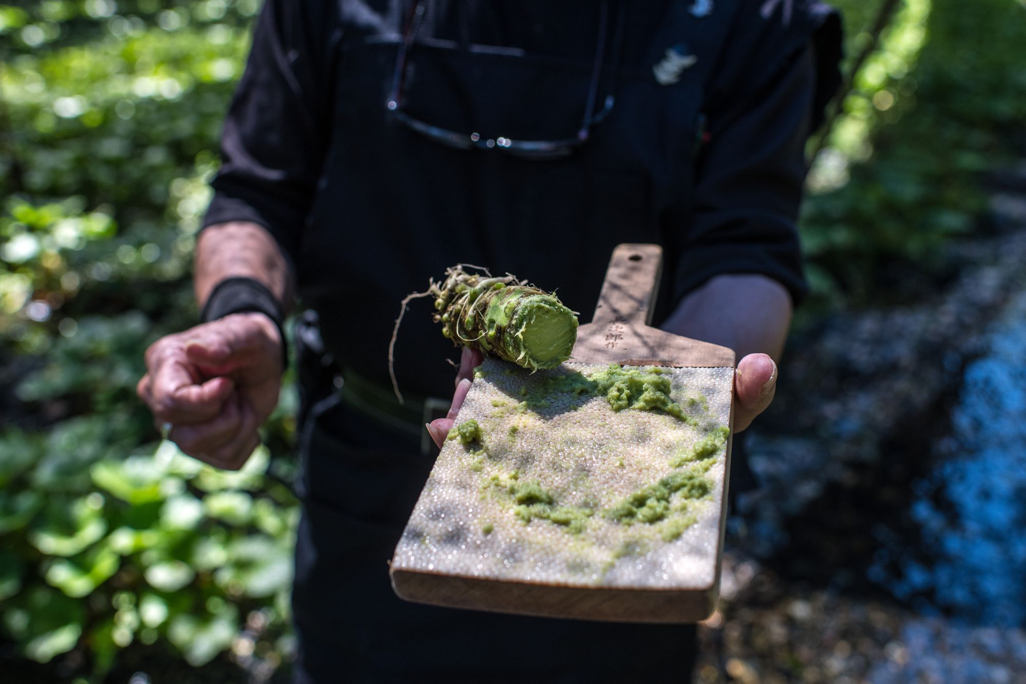 The benefits of wasabi come out when the plant is grated into a pulp
