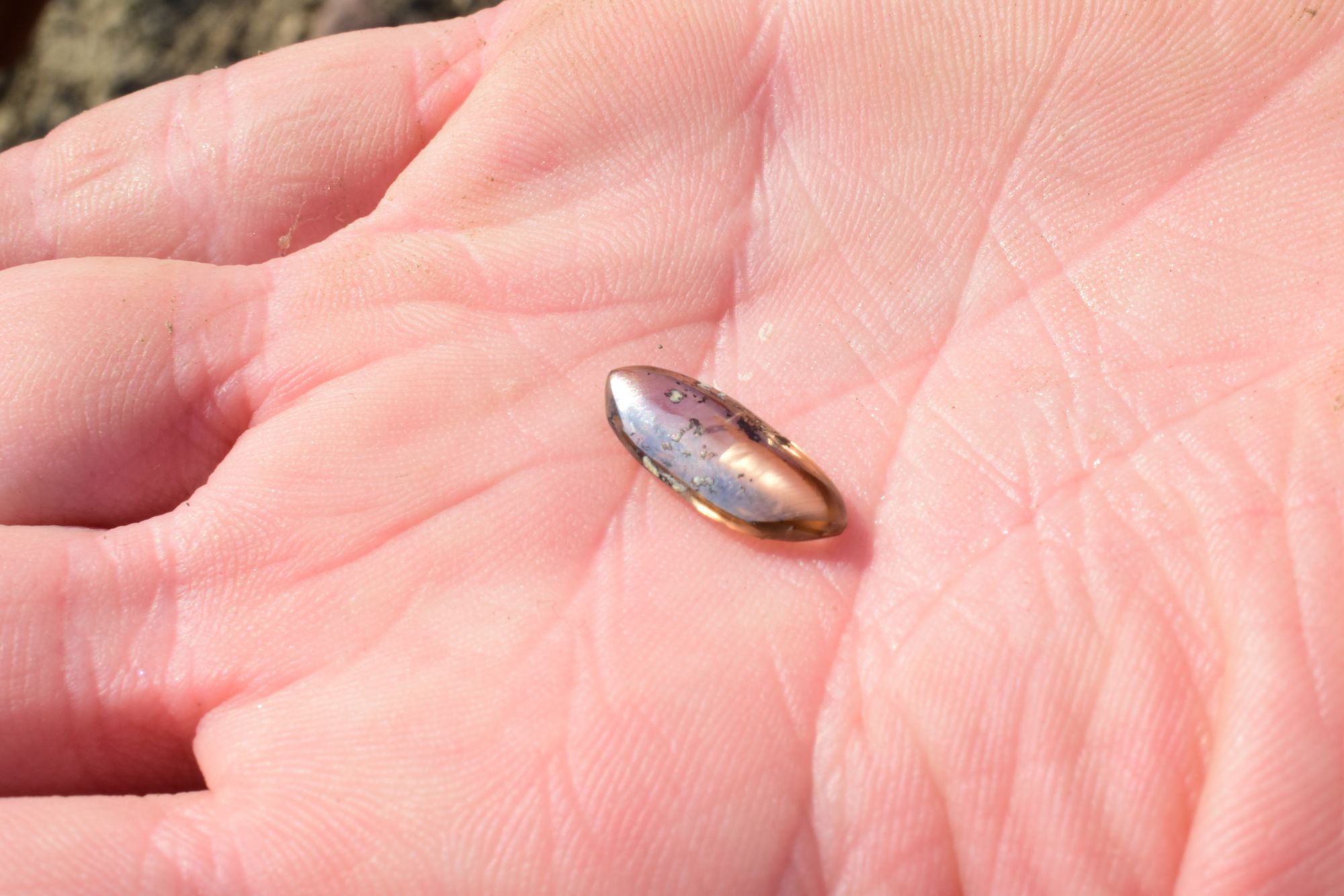 A family visiting an Arkansas state park has unearthed a nearly three-carat diamond worth thousands of dollars