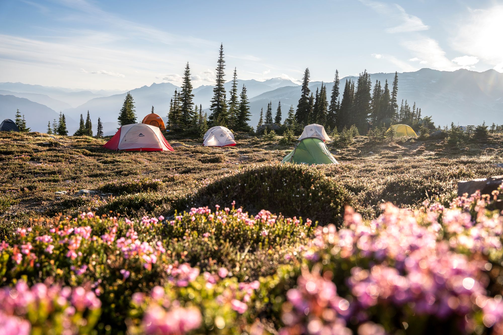 Wild camping in Whistler