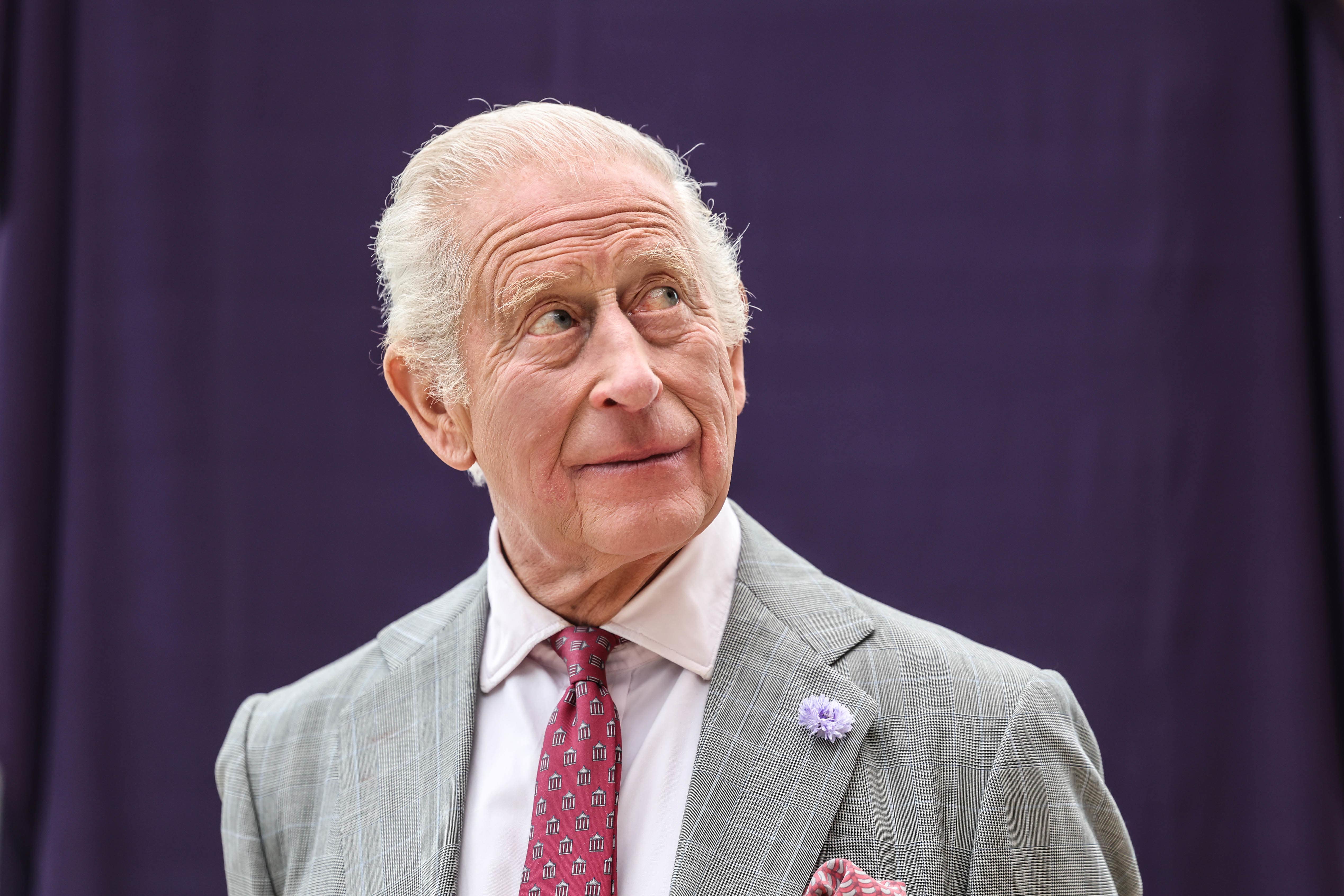 The King (Richard Pohle/The Times/PA)