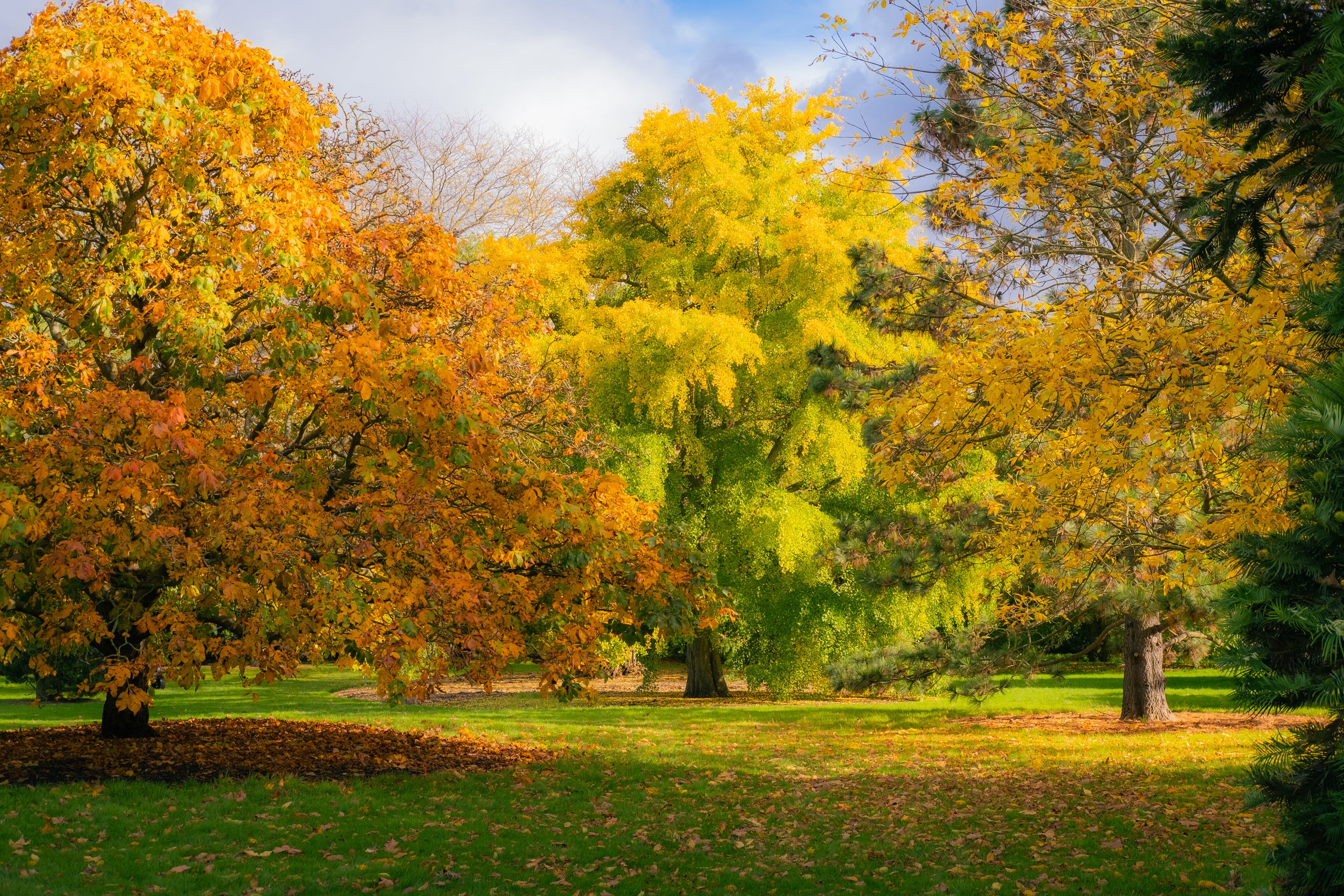 <p>Kew Gardens in London is a popular place to experience autumn nature</p>