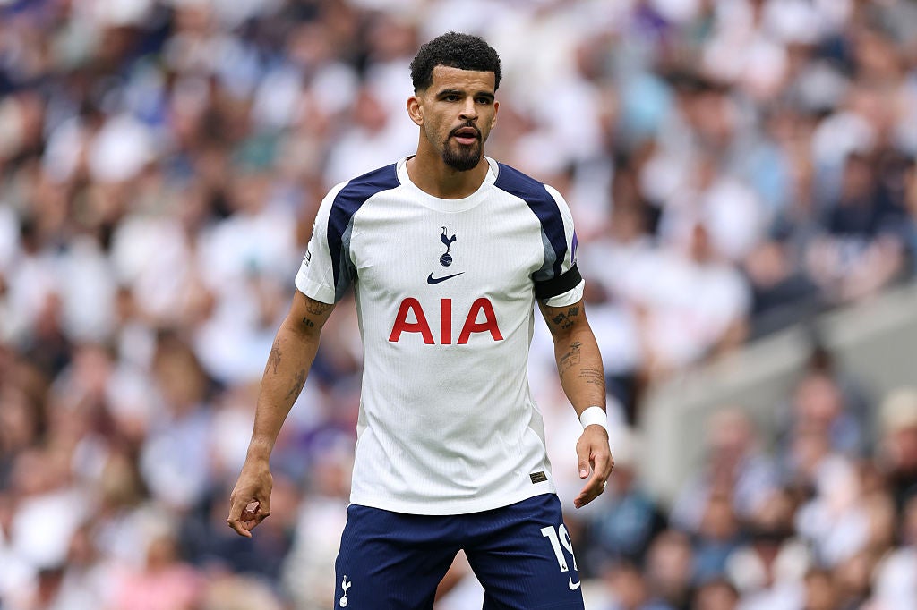 <p>Dominic Solanke has been plagued by injuries so far this season</p>