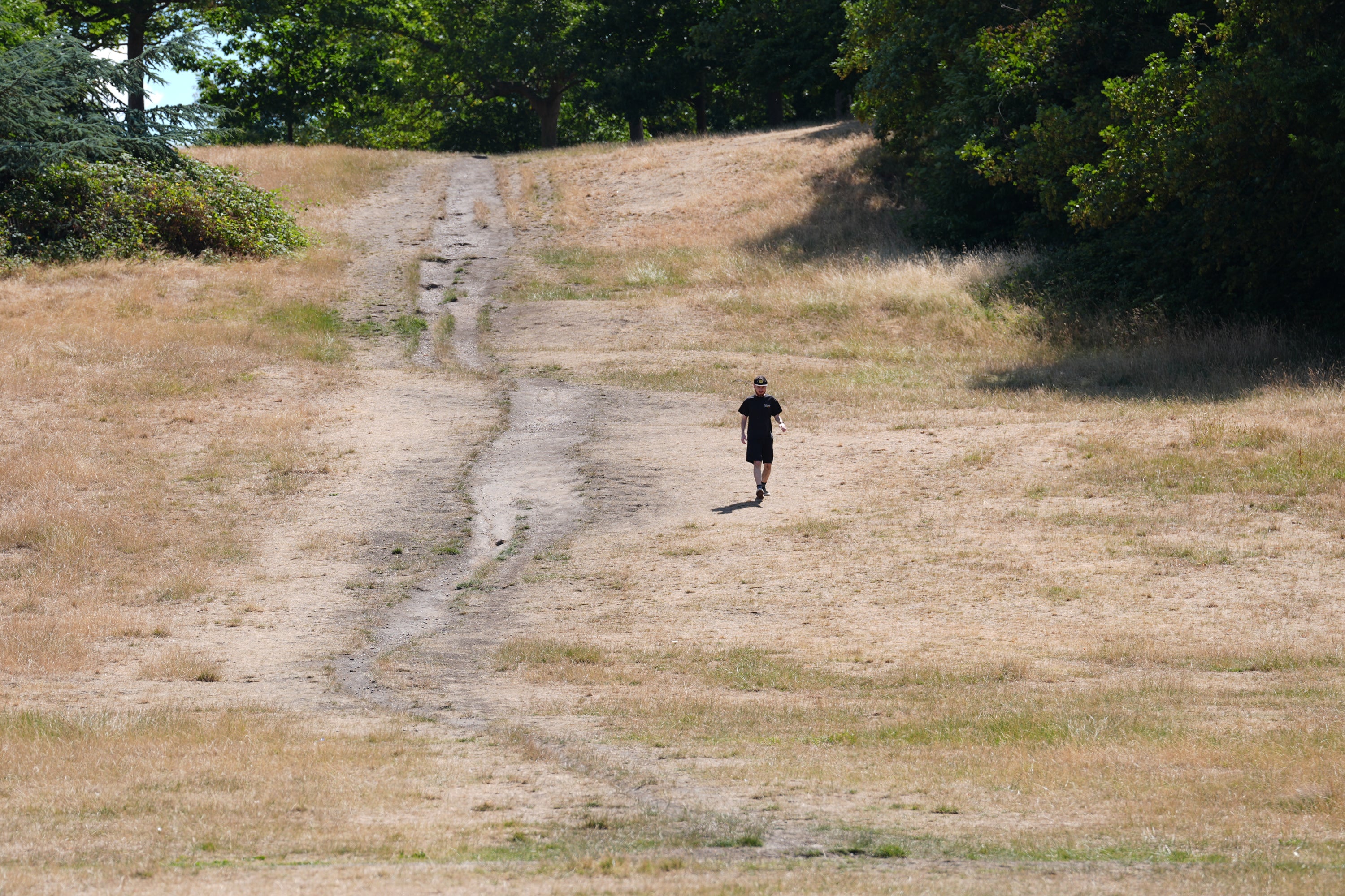 The UK experienced an exceptional drought and record hot spring and summer in 2025