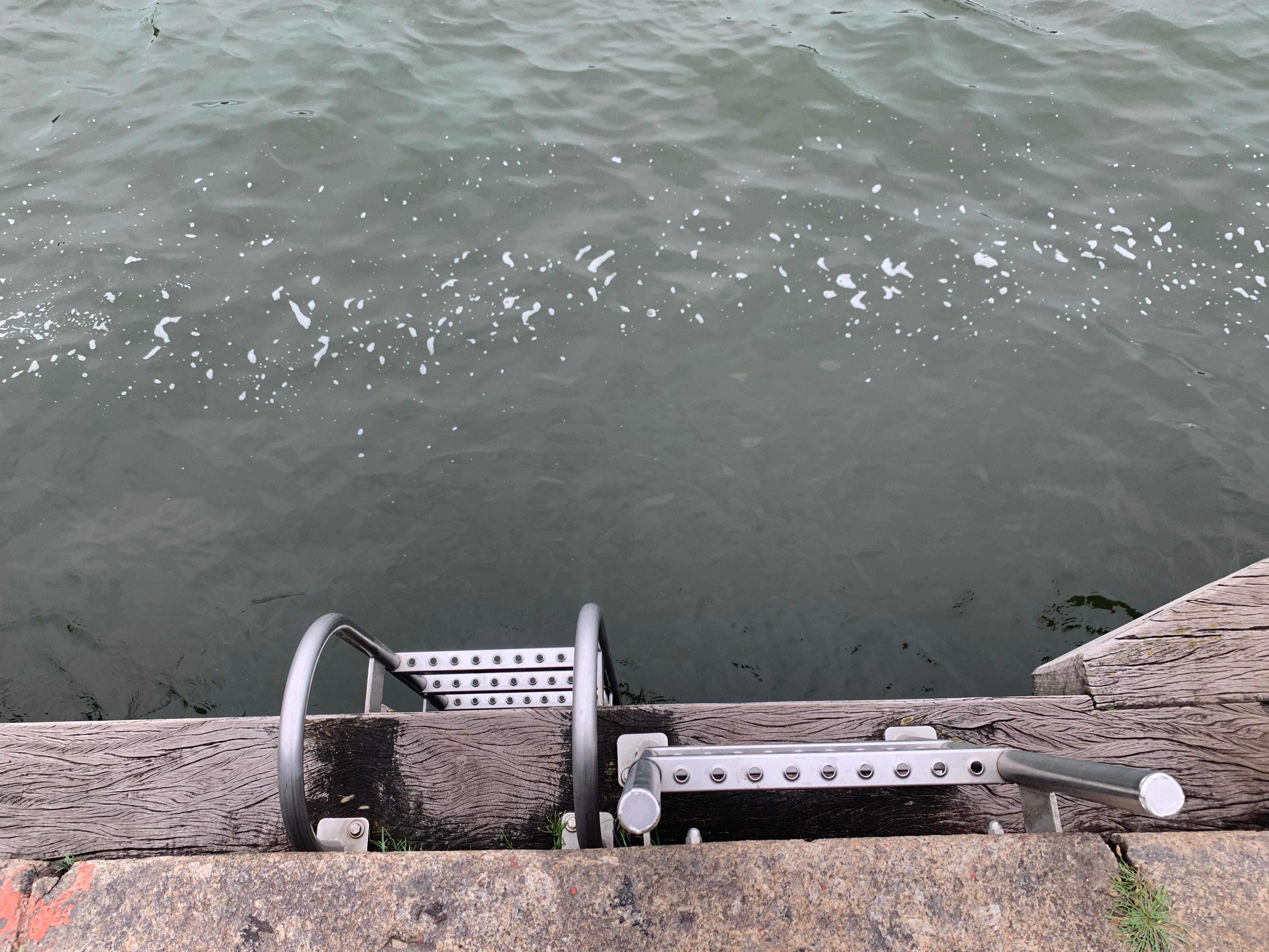 Would-be swimmers should look out for ladders into the water