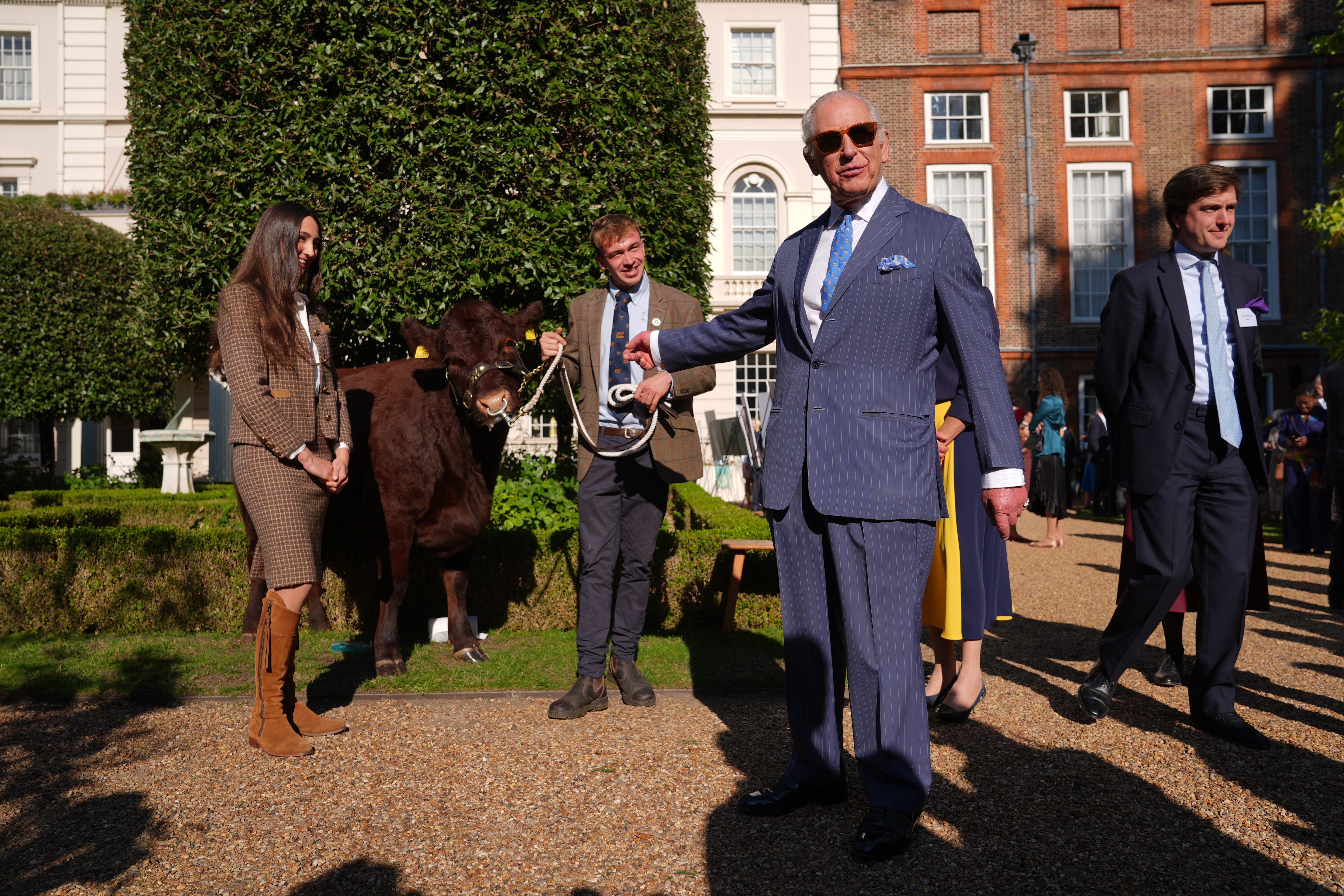The King meets Poppy, a pedigree Sussex cow, outside Clarence House (Yui Mok/PA)