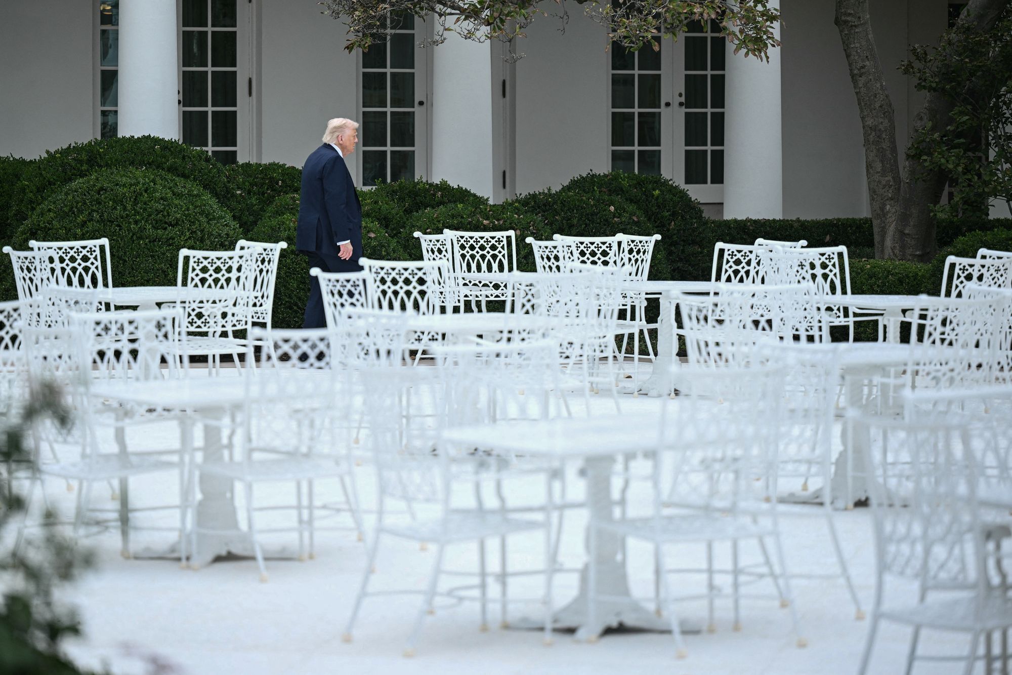 Trump has also paved over the iconic Rose Garden at the White House