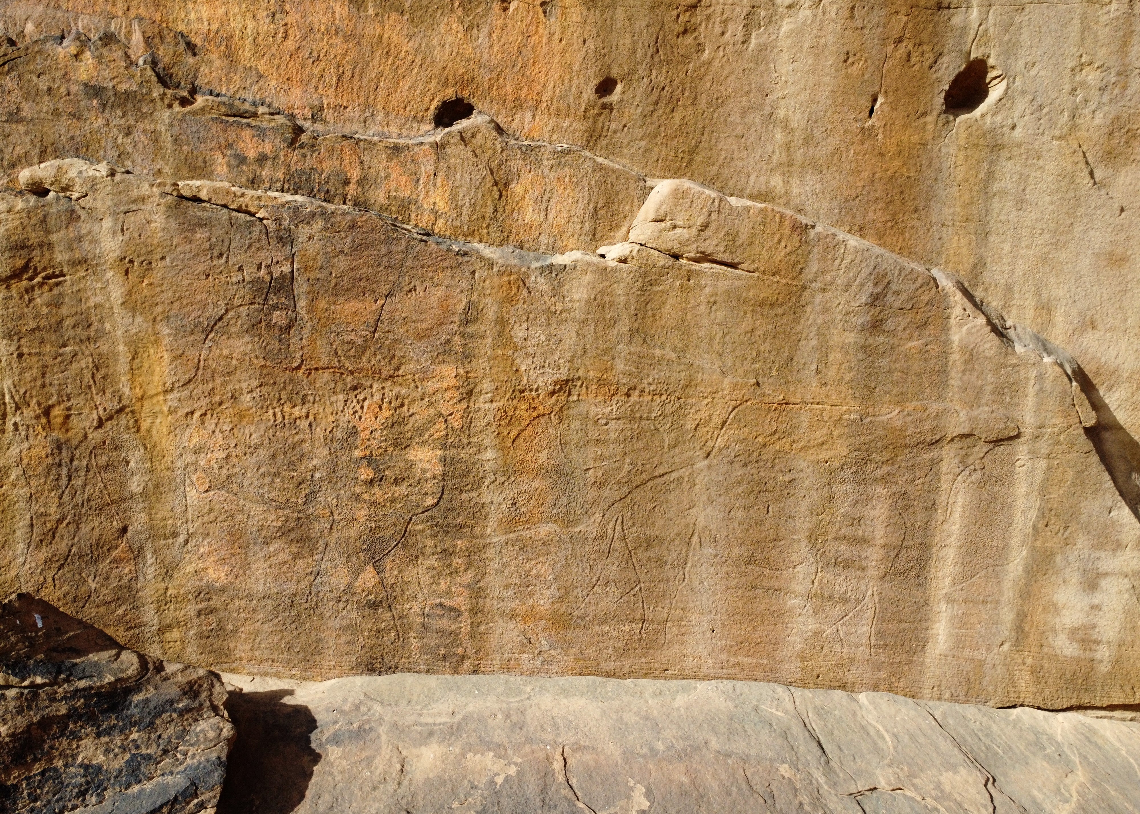 Maria Guagnin, an archaeologist from the Max Planck Institute of Geoanthropology in Germany, said people have been creating rock art in Saudi Arabia for thousands of years
