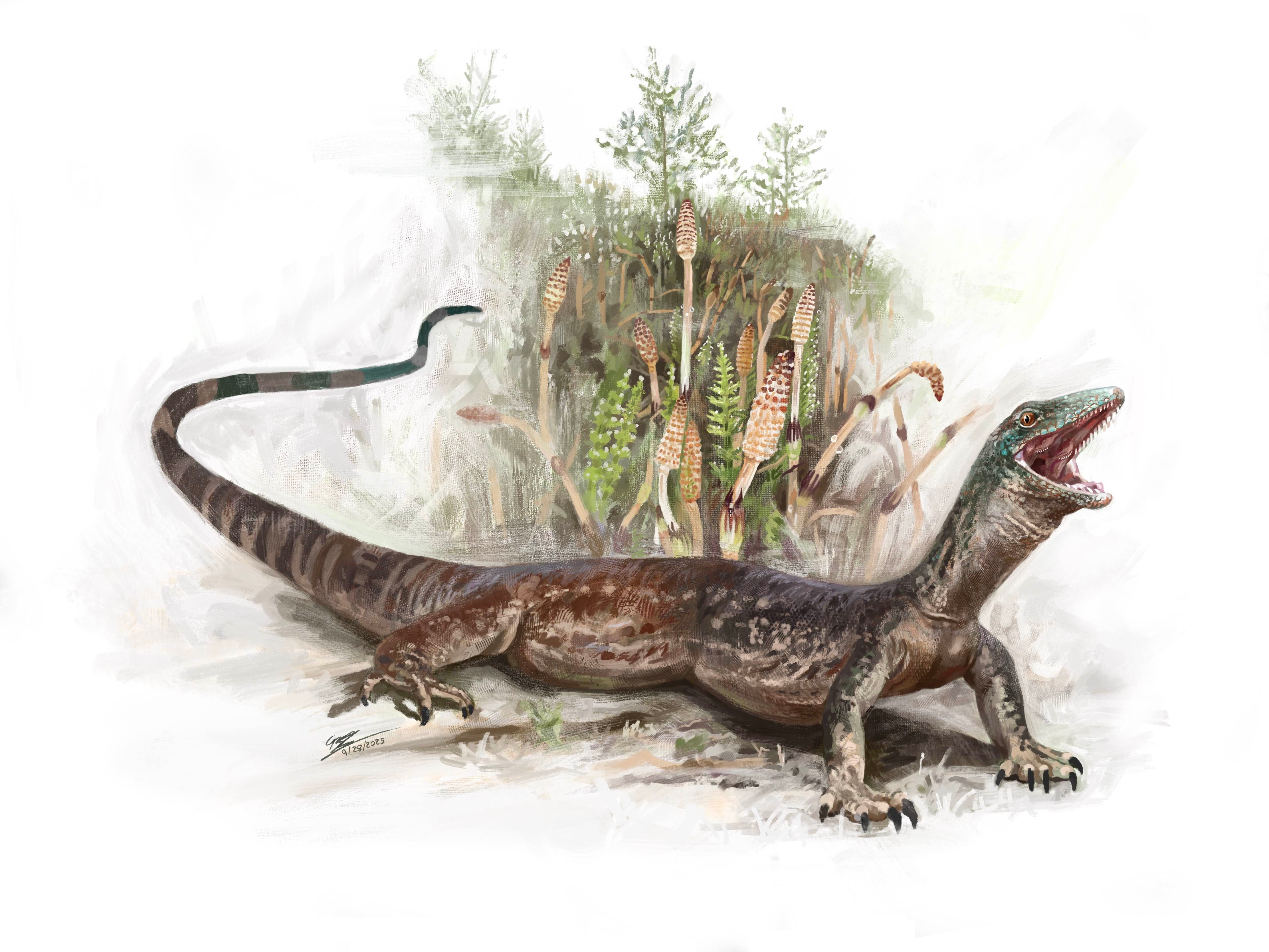 An artist’s impression of a Breugnathair elgolensis