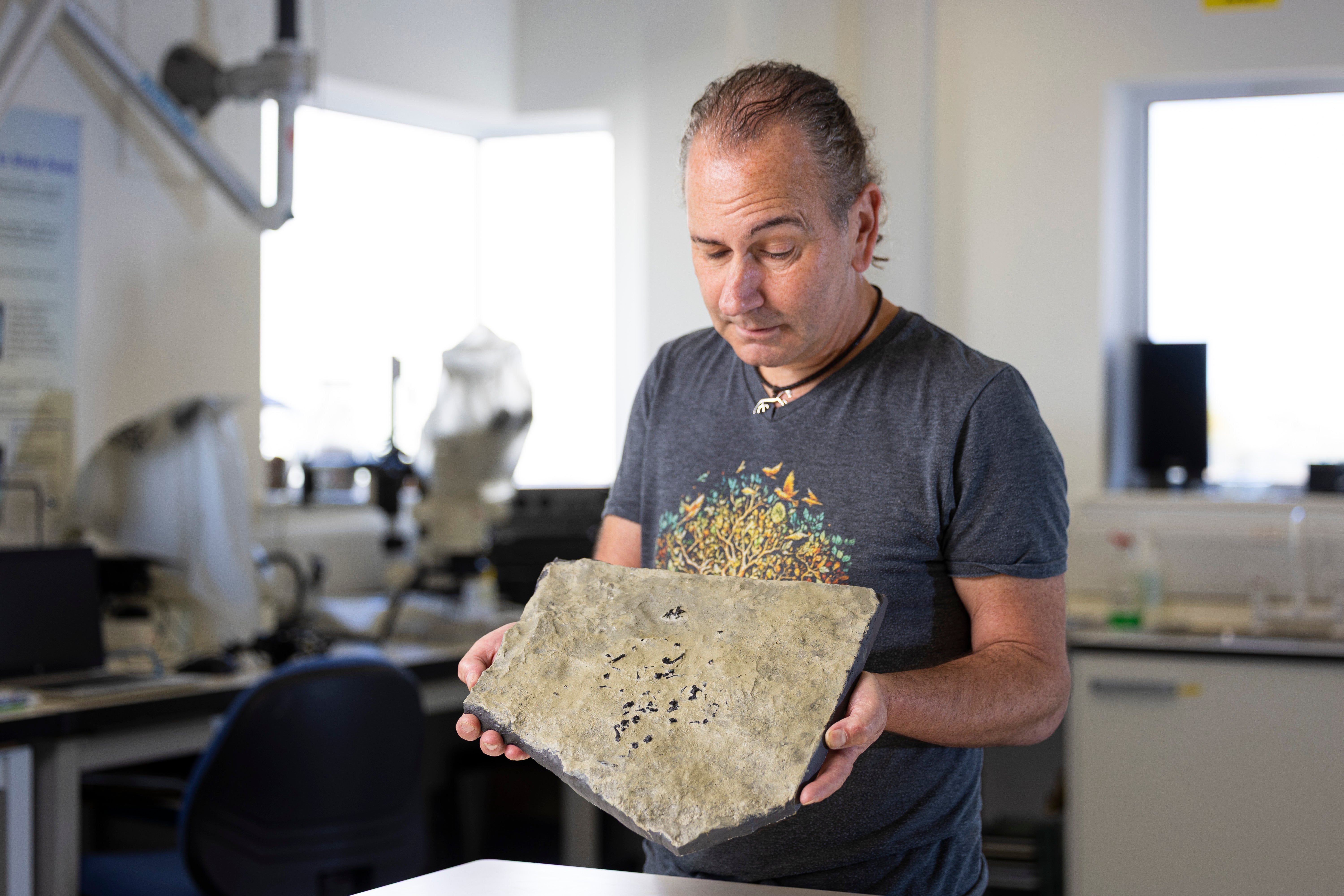 Dr Stig Walsh holds a cast of the Breugnathair elgolensis fossil