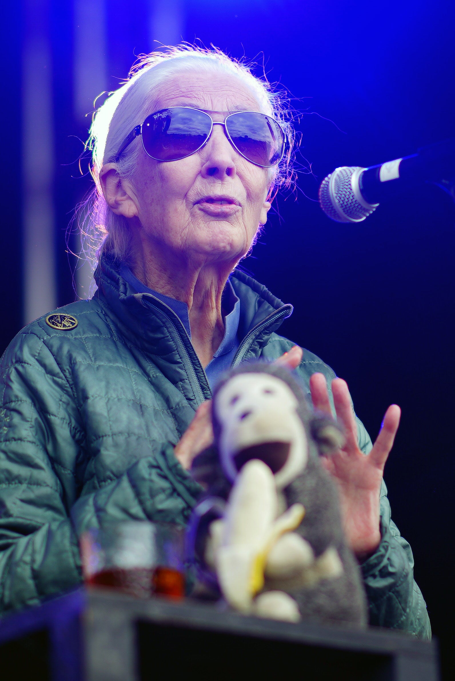 The conservationist on the Greenpeace stage during the Glastonbury Festival 2024