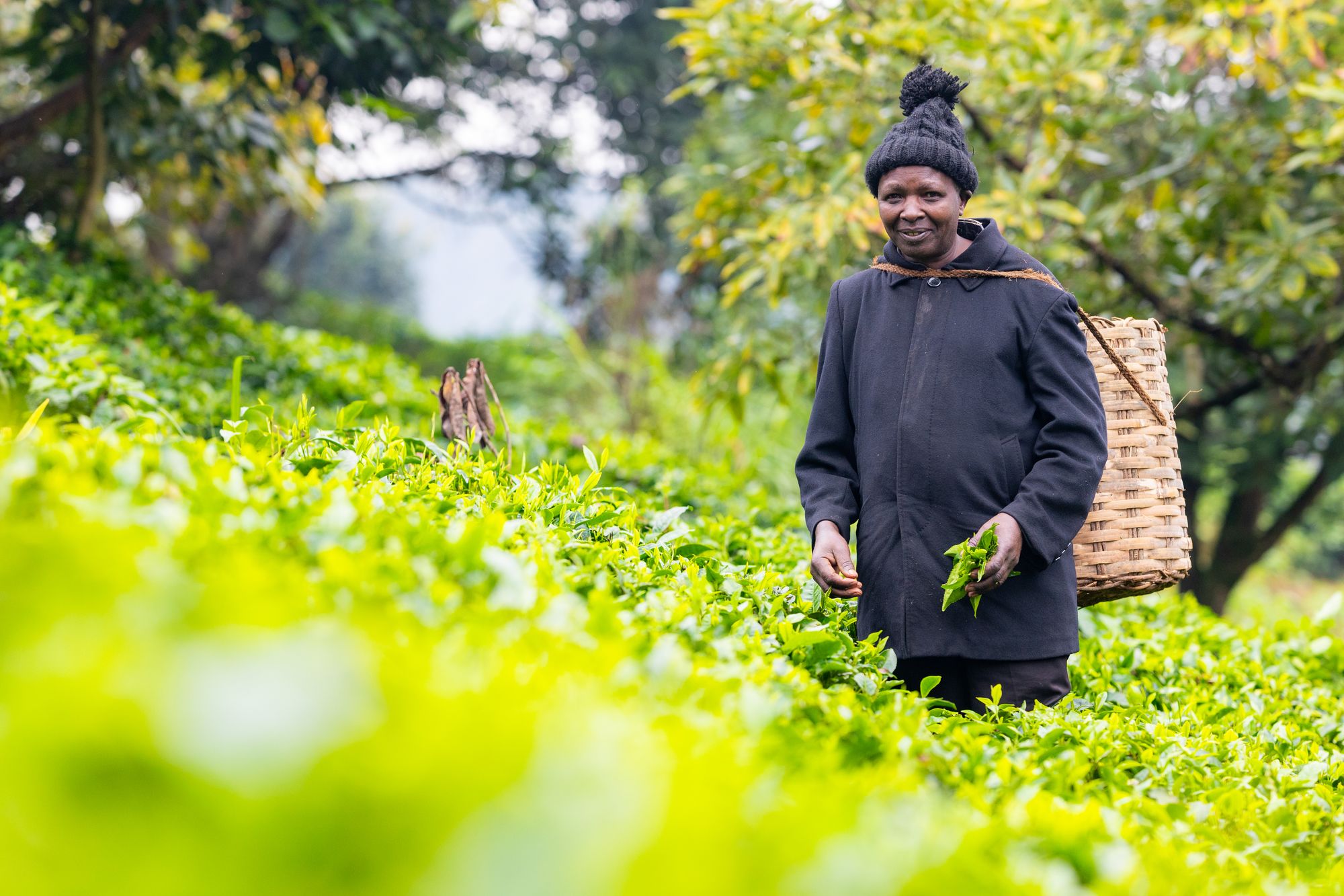 62-year-old Francis said that if his family was to earn more money, his top priority would be to buy his family better medical insurance