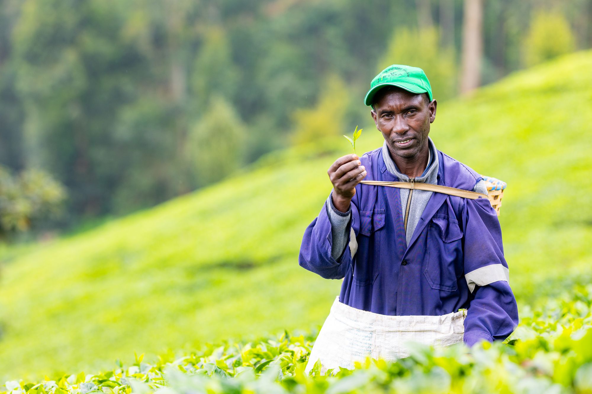 Luke, who has also experienced problems with his joints from the cold, said that having more consumers buy Fairtrade tea would help farmers