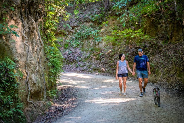 <p>Swap the city buzz for hiking trails and swamp walks in Louisiana</p>