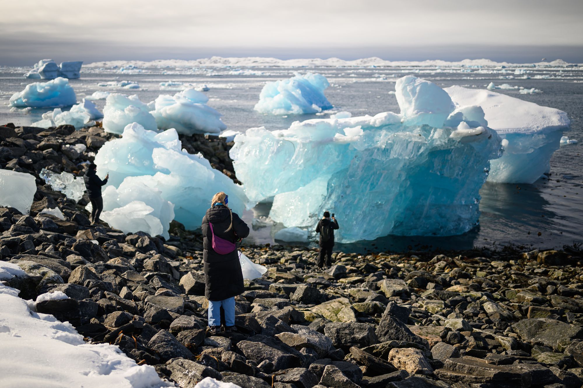 The Arctic is one of the fastest warming regions in the world