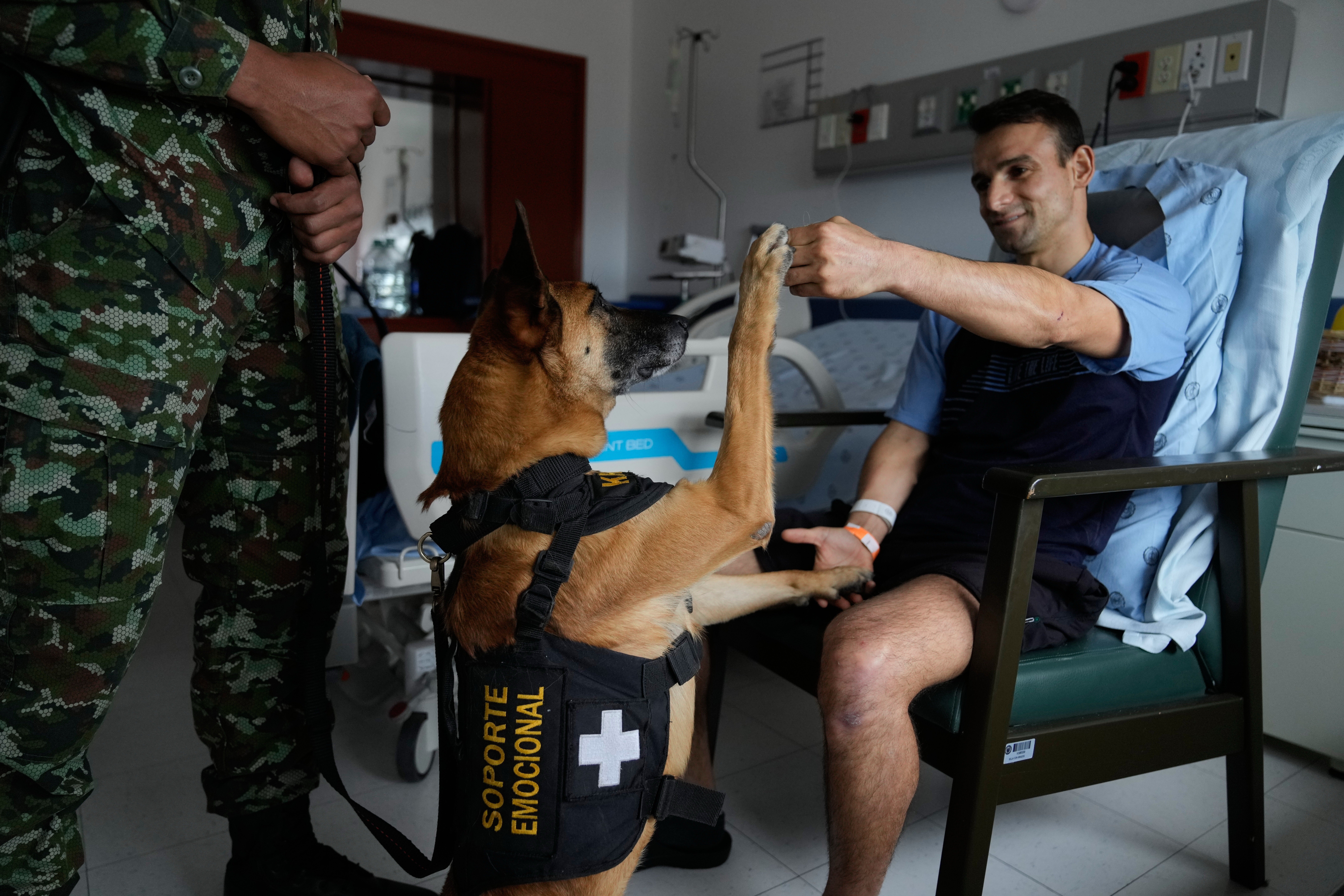 APTOPIX Colombia Military Dogs