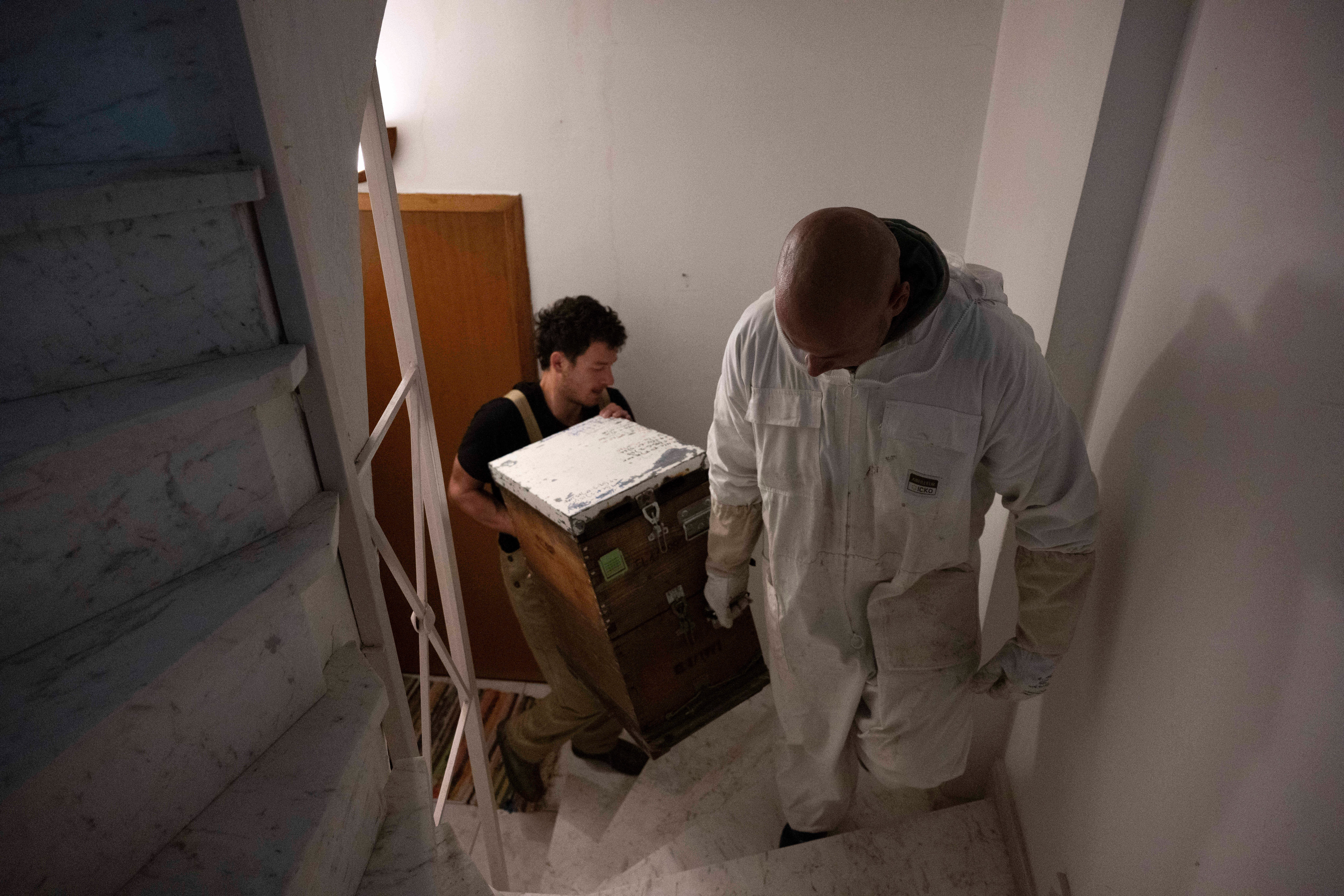 Greece Urban Beekeeping