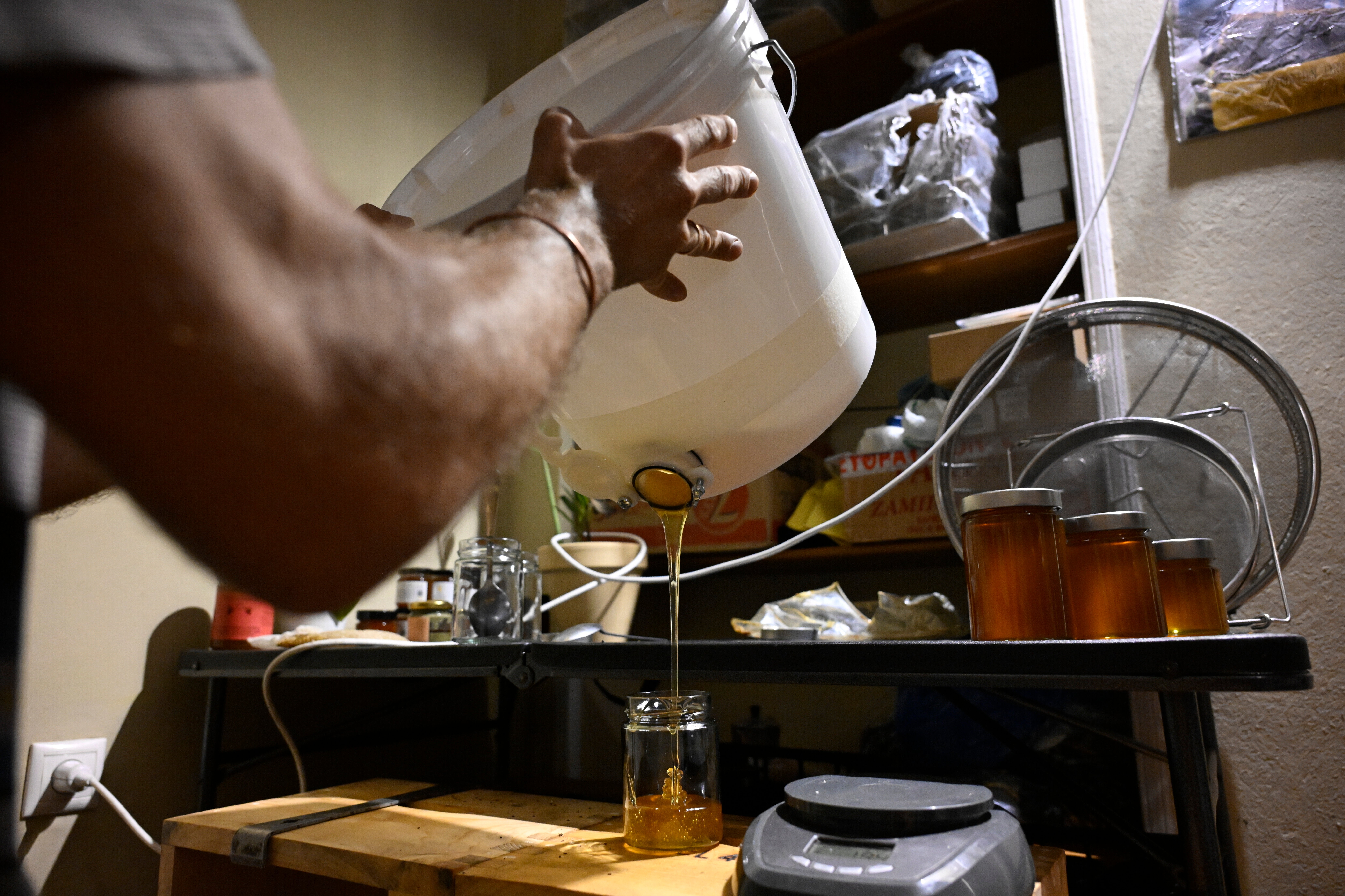 Greece Urban Beekeeping