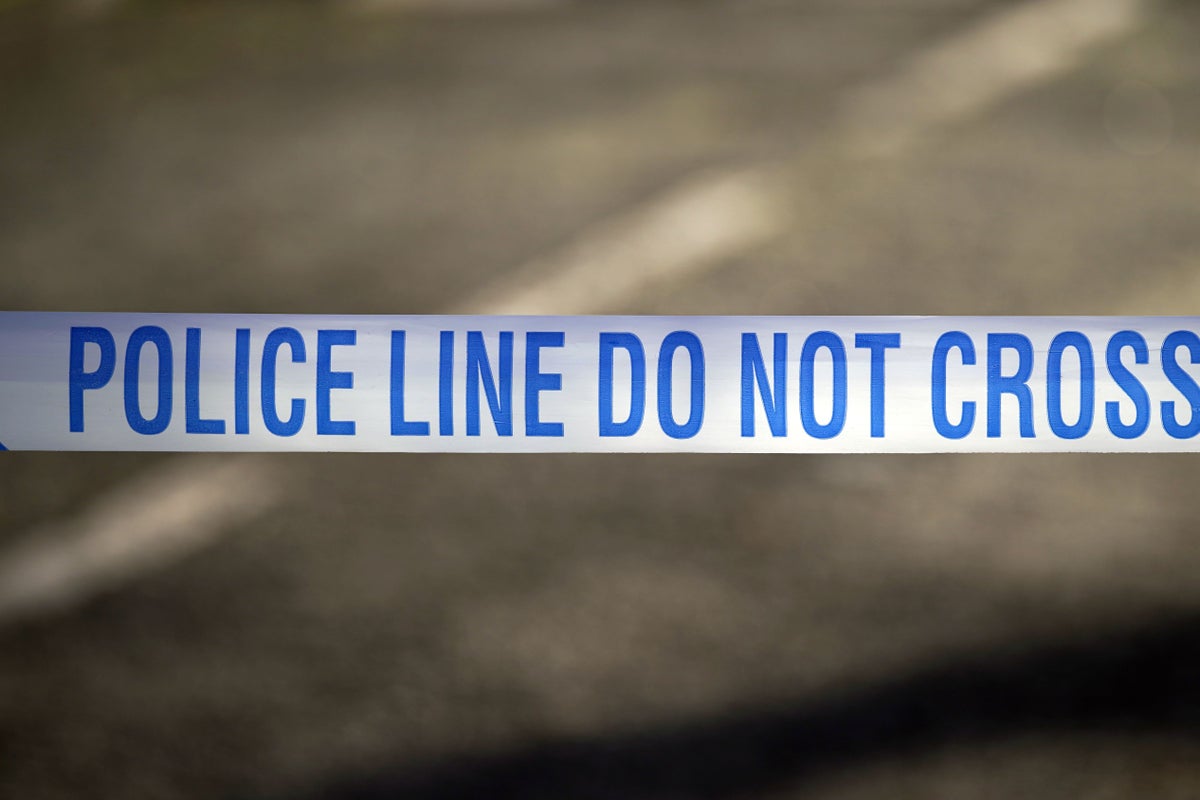 ロンドンで大晦日の襲撃で男性刺殺