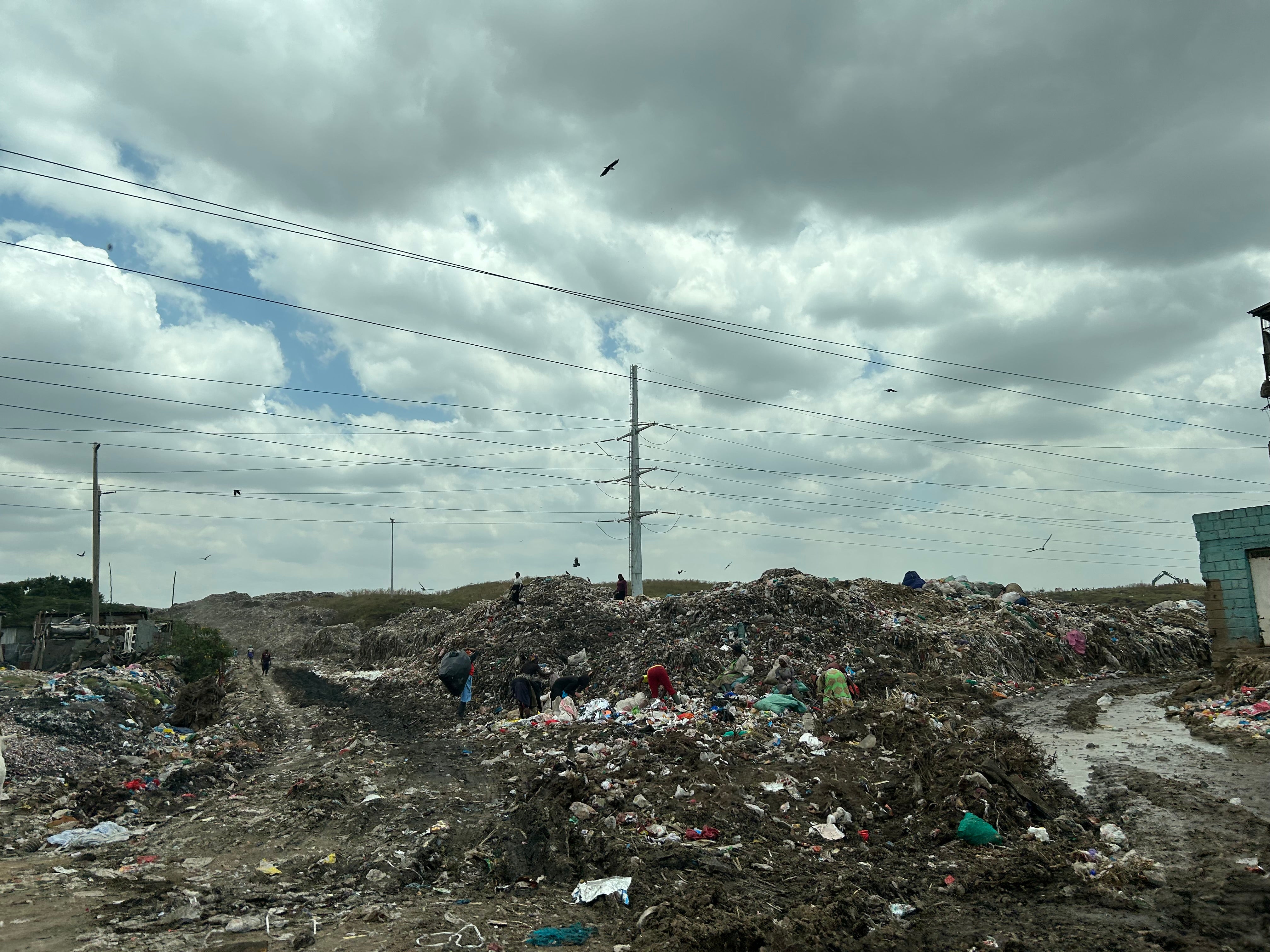 The number of people living in Kenya is increasing, according to the World Bank - while among waste pickers specifically, 86 per cent say that their economic situation has worsened significantly in recent years, according to a recent survey