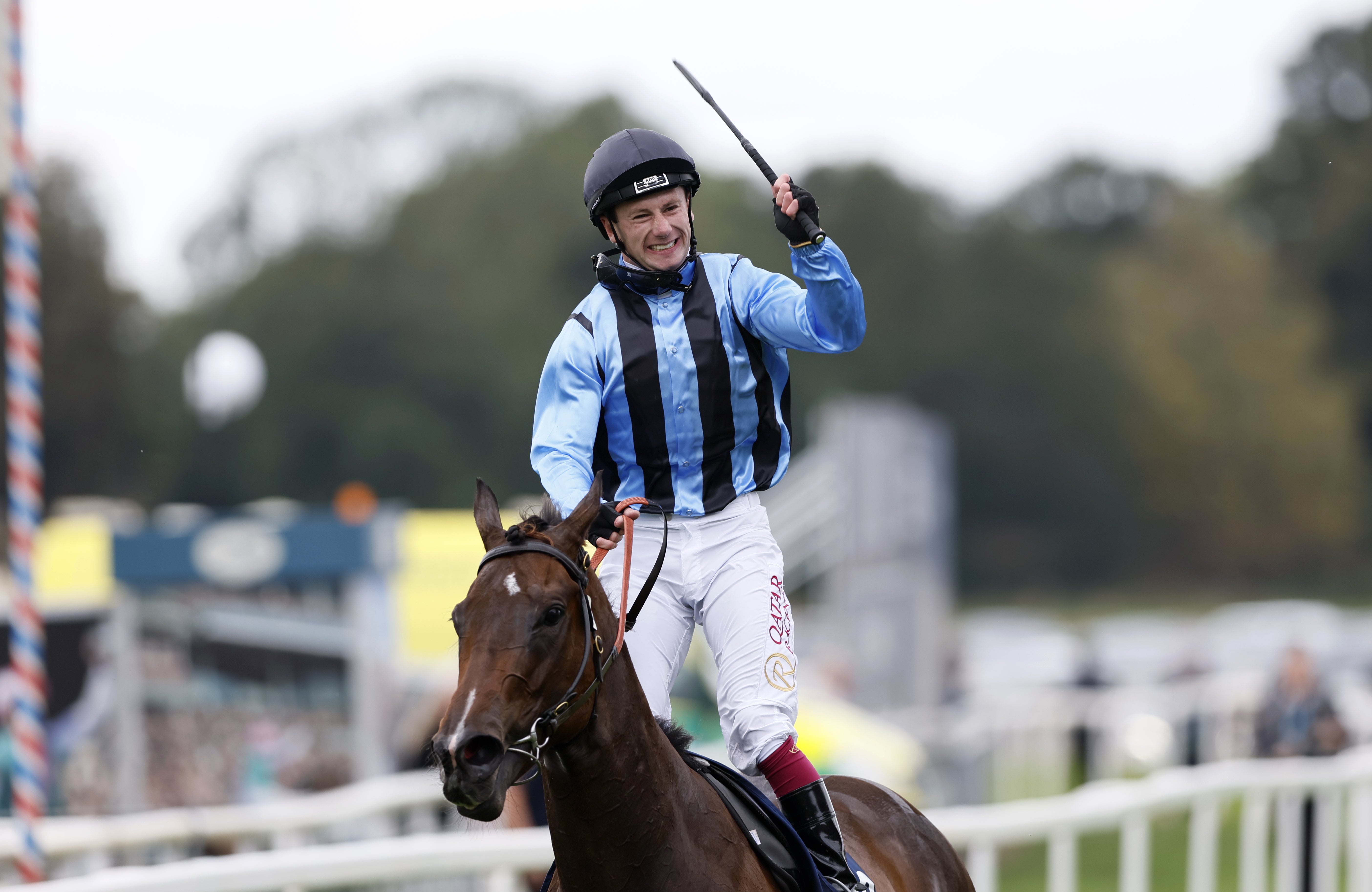 <p>Asfoora is one of our fancies this weekend</p>