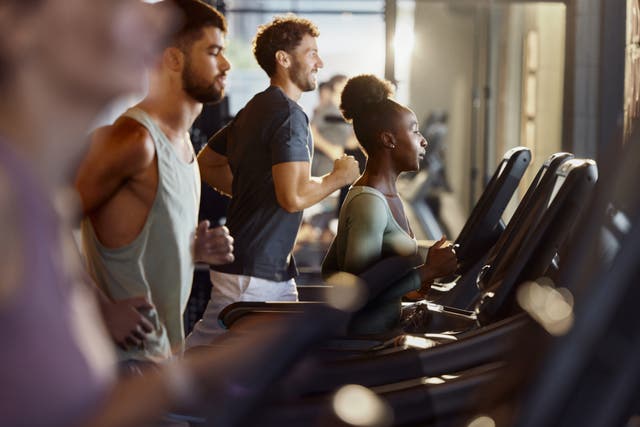 <p>More than ten million adults in the UK hold gym memberships</p>