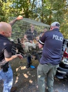 A New York woman has been charged after more than 200 animals and a 95-year-old woman were rescued from a 'hoarding situation'