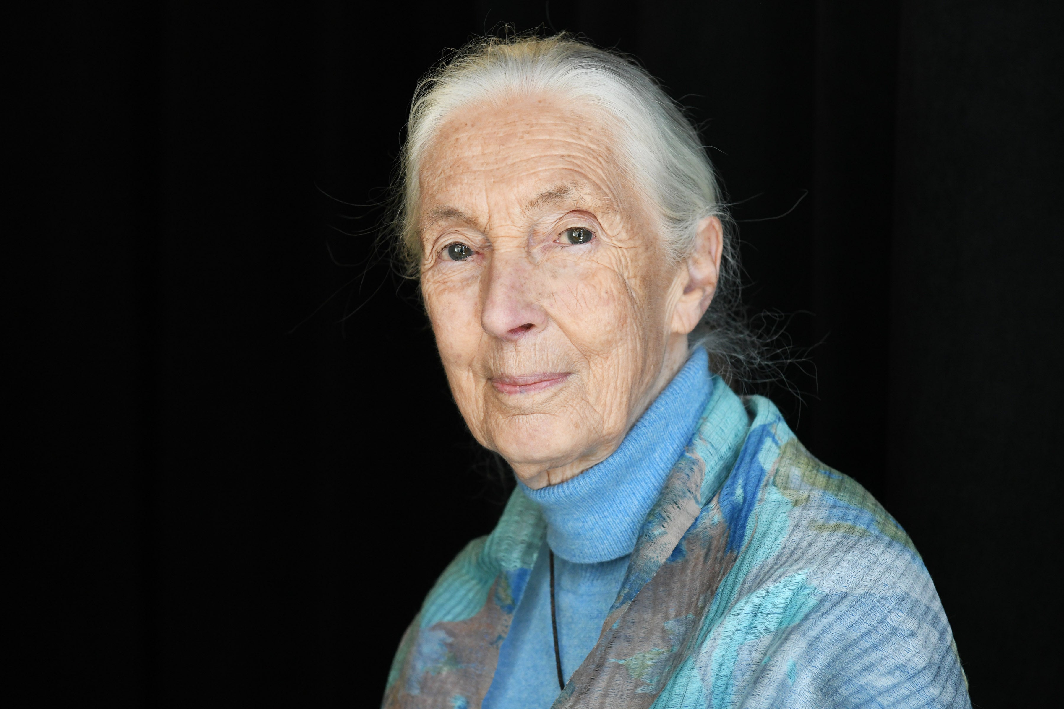 Jane Goodall