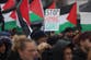 Arrests at pro-Palestine protest amid condemnation from politicians
