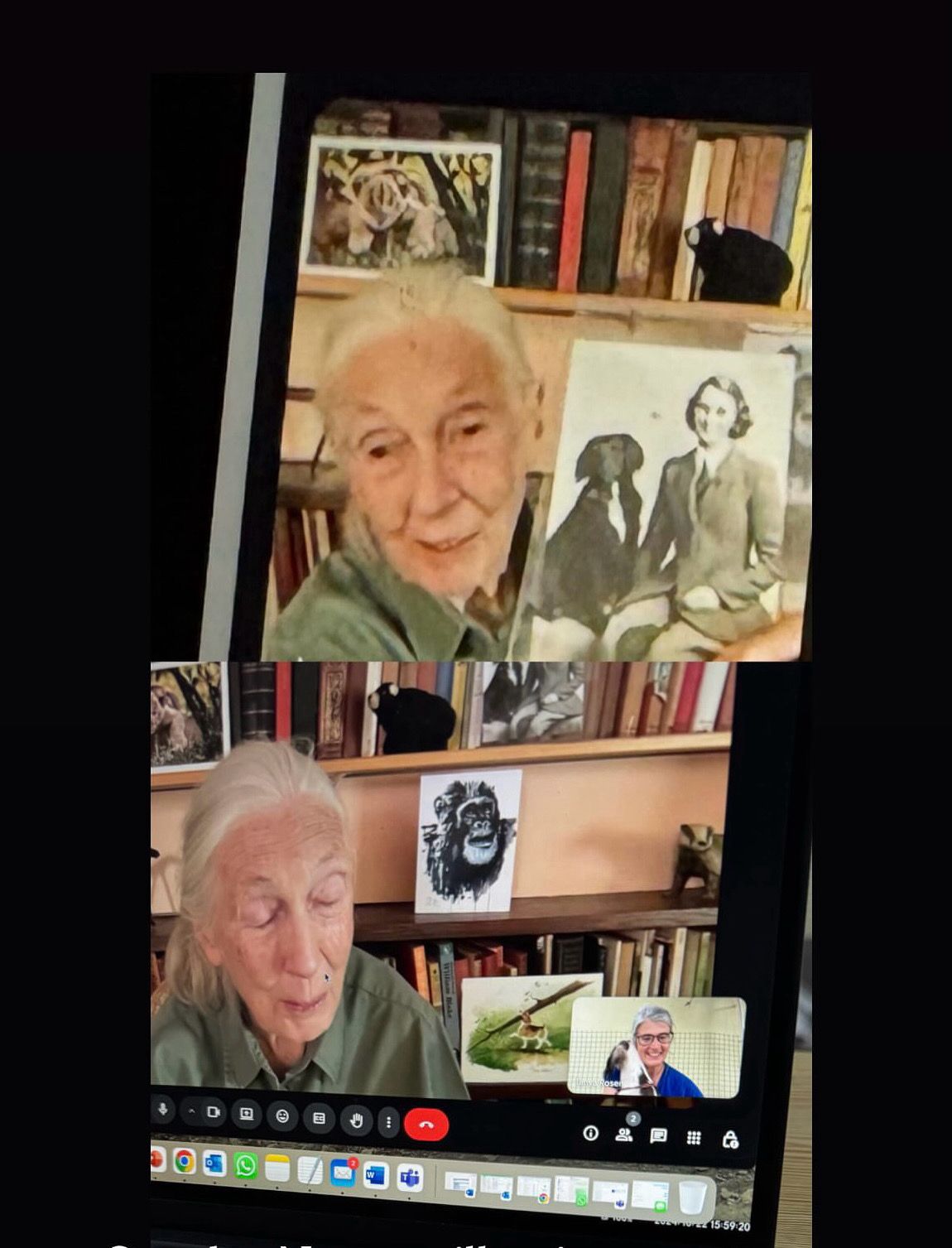 ‘We talked about death’: Goodall on a Zoom call with Tanya Rosen