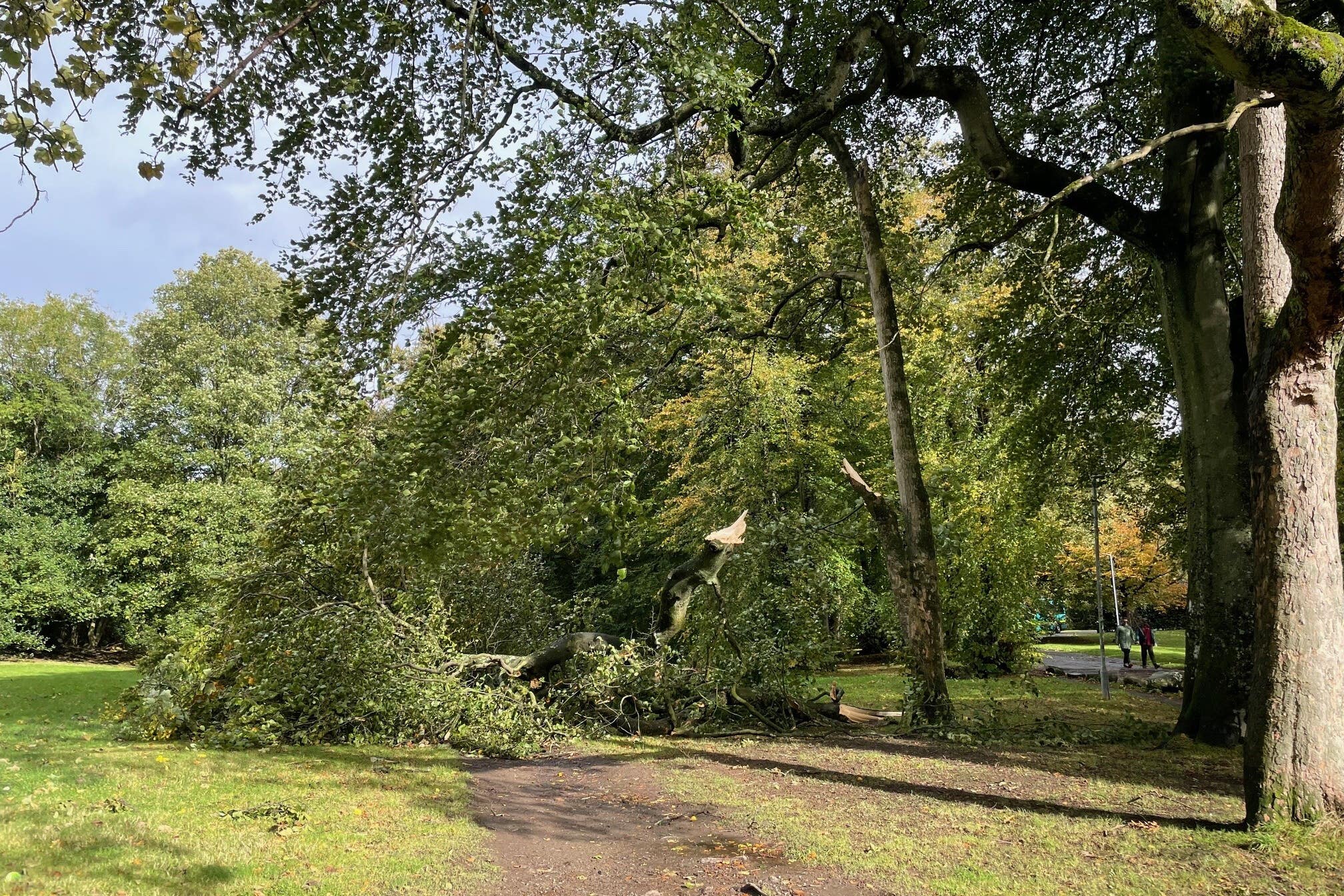 The storm caused widespread damage including in Queens Park, Glasgow (Lucinda Cameron/PA)
