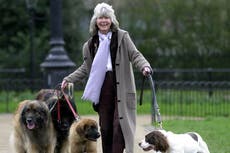 Jilly Cooper believed you’re reunited with your dogs in heaven – I can see her there now