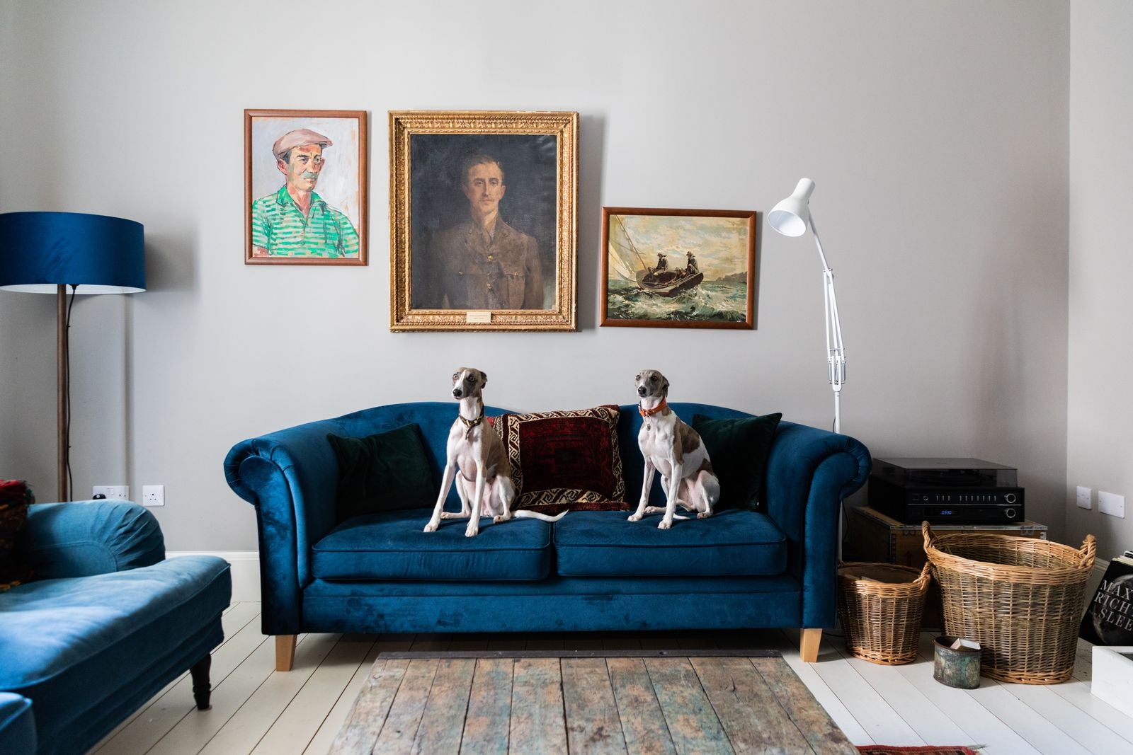 Dogs at North Lodge Glen Dye