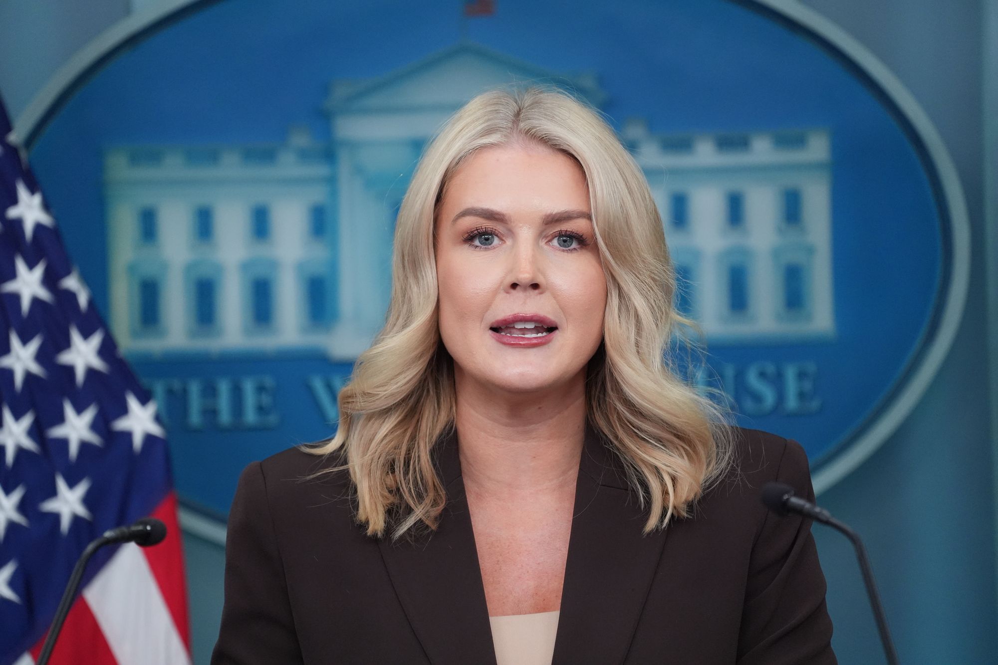 White House Press Secretary Karoline Leavitt told Fox News that the Democratic Party’s voter base was made up of “Hamas terrorists, illegal aliens, and violent criminals’