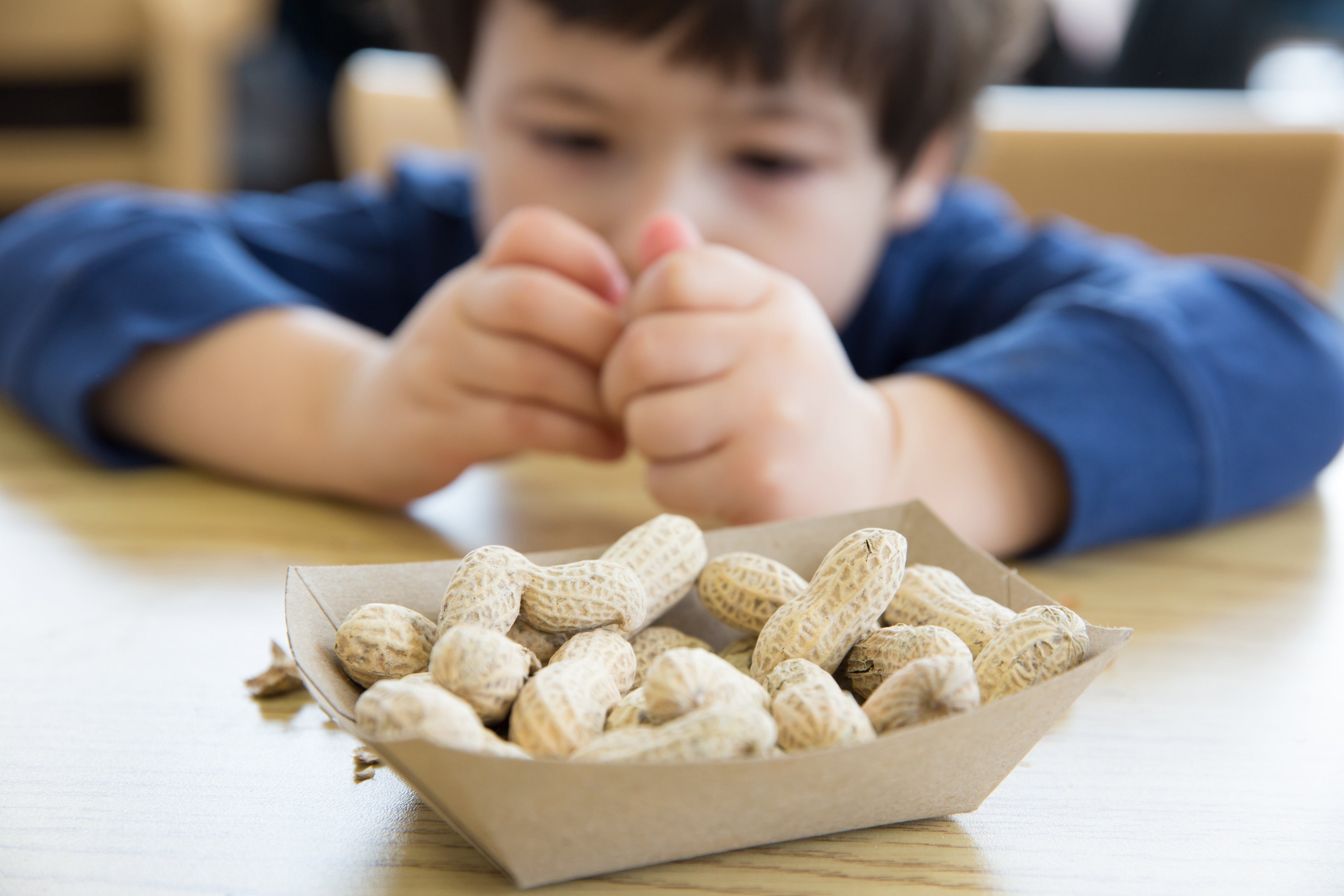 A recent US study shows that the rate of peanut allergy diagnoses in infants has actually declined