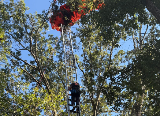 The student survived but the instructor fell from the sky without a parachute and died, authorities said