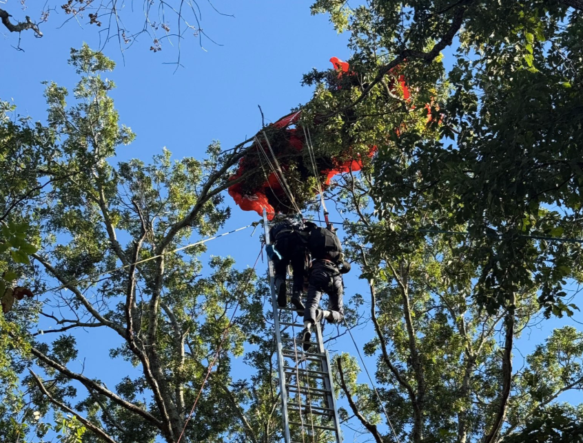 The student who jumped with the instructor was rescued from treetops by Nashville Fire Department