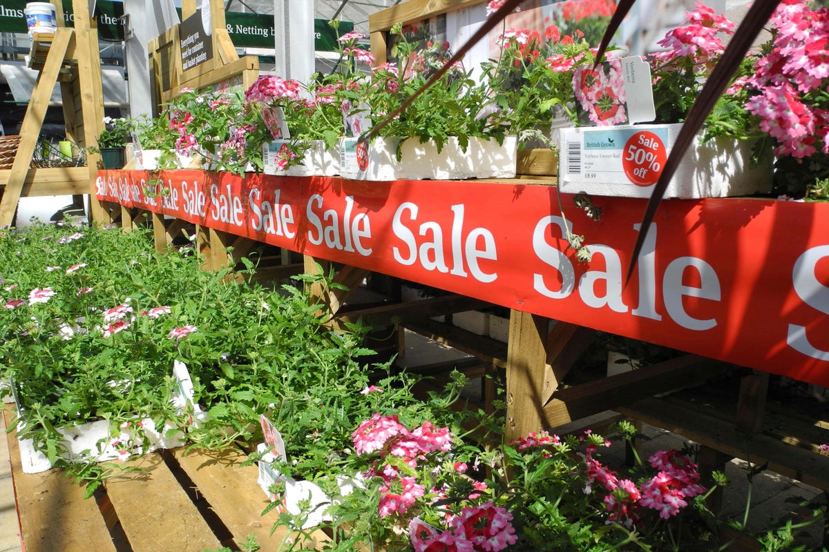 Money-saving tips to boost your borders