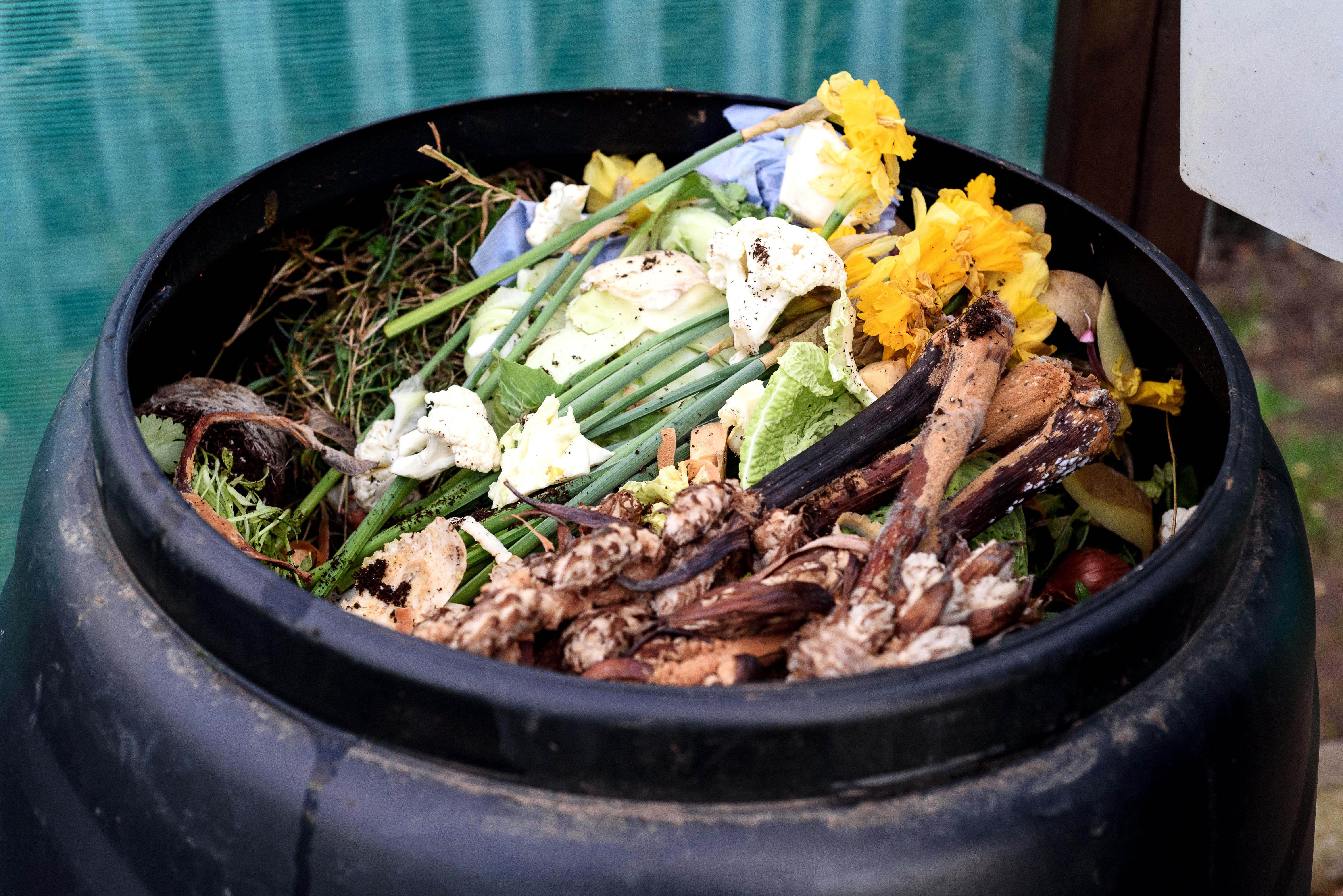 Why not make your own compost?