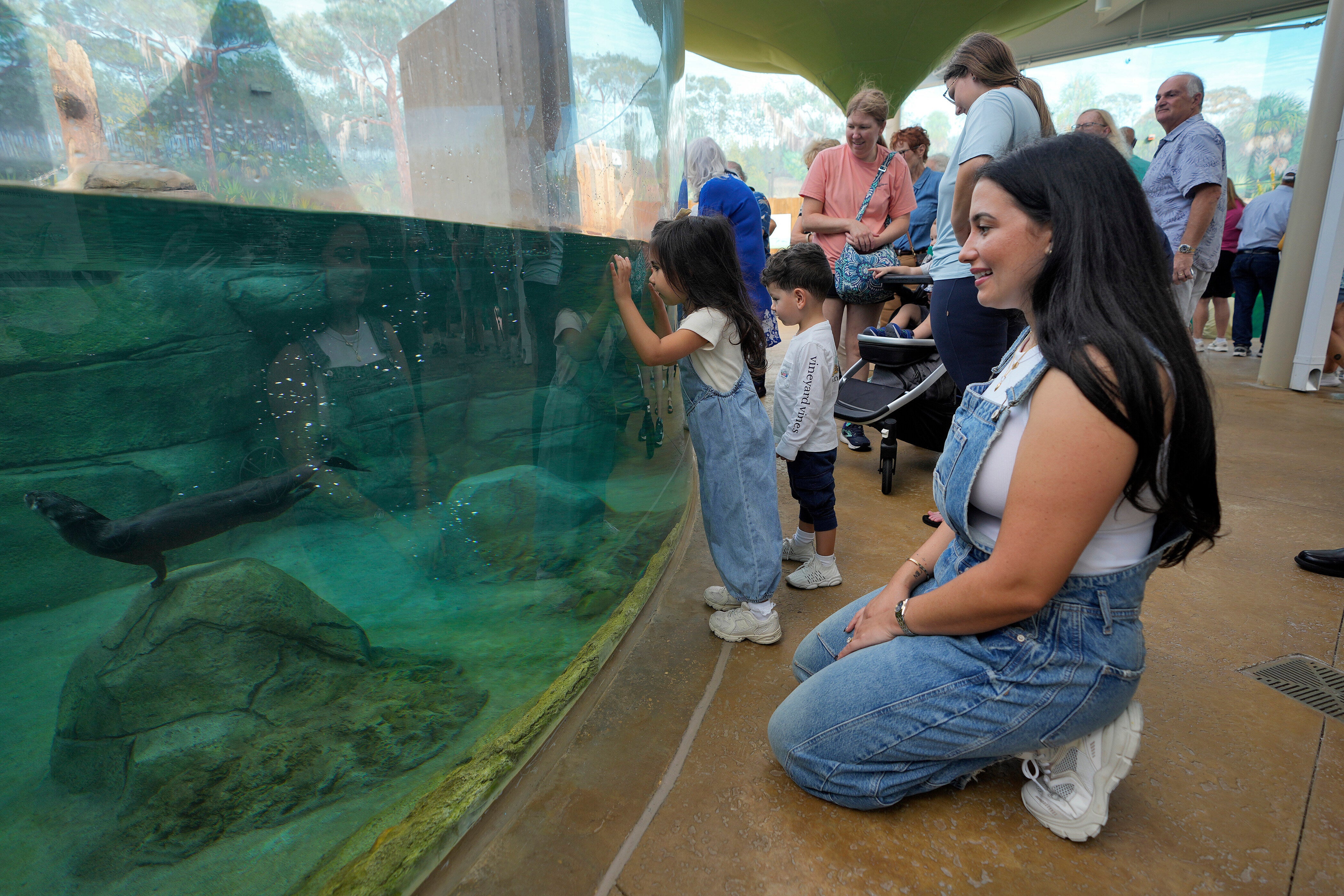 Visitors watch river otters swim at the Mote Science Education Aquarium