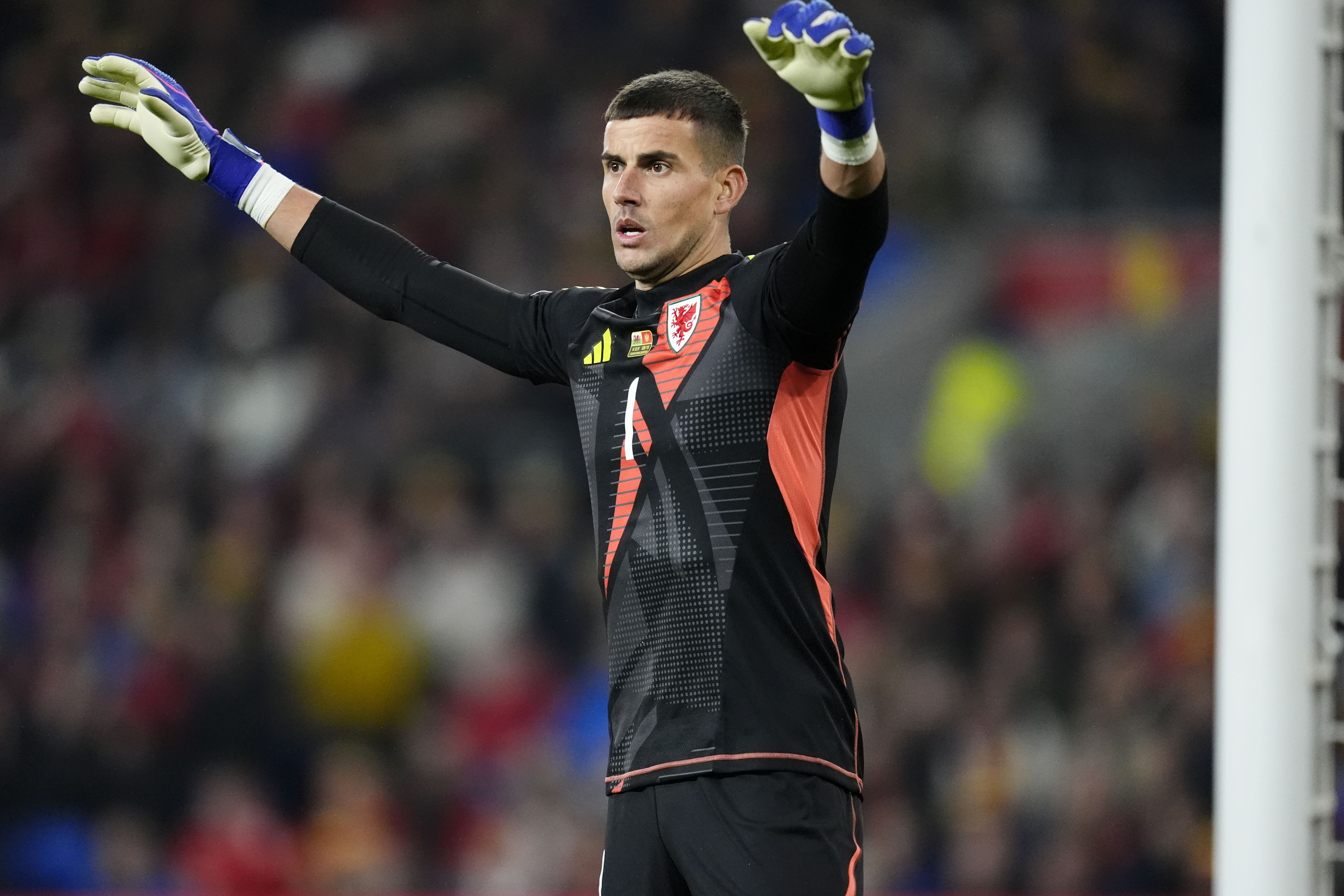 Karl Darlow has established himself as the number one goalkeeper since joining the Wales set-up last year (Nick Potts/PA)