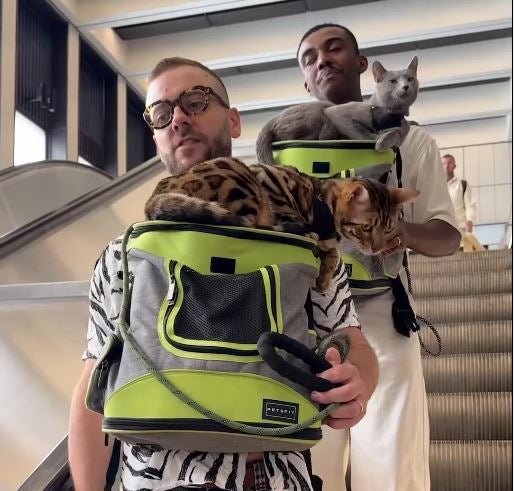 The video advises owners to avoid escalators where possible