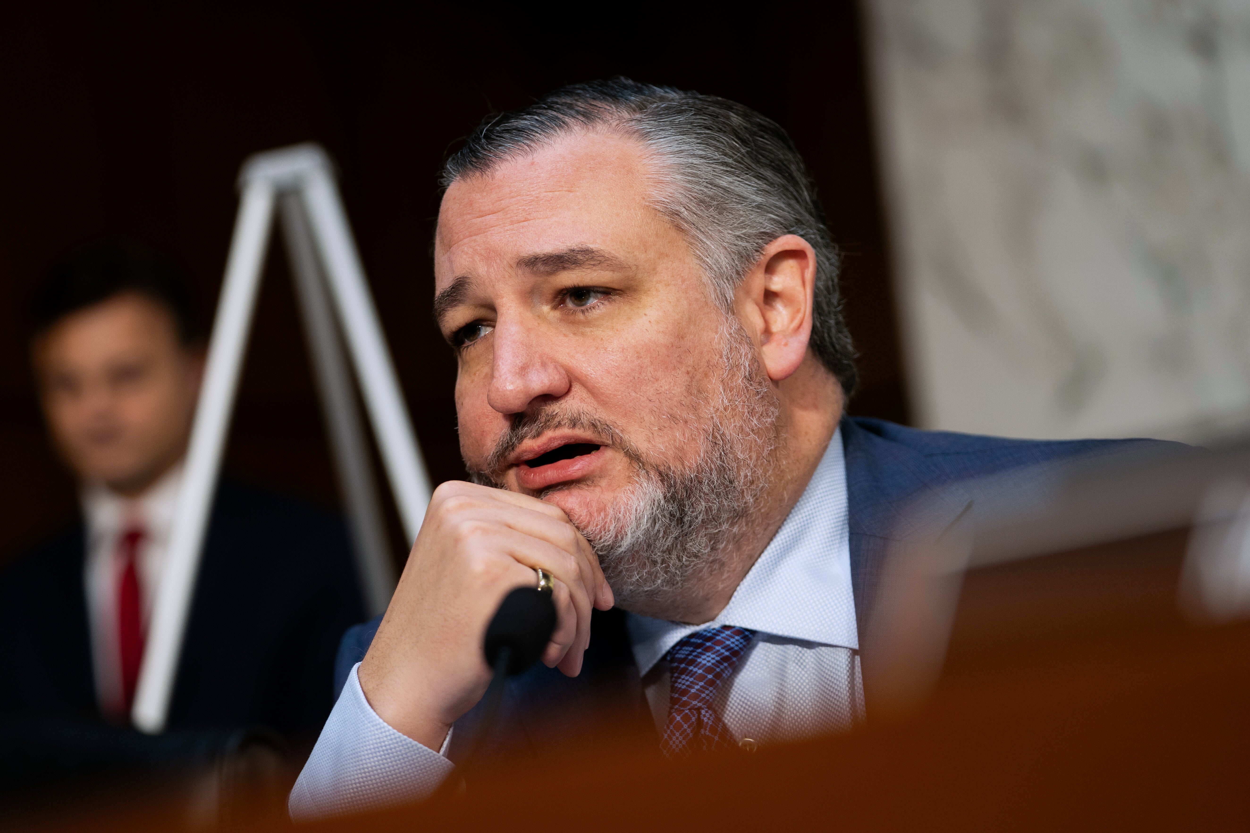 Republican Senator Ted Cruz of Texas took a moment during Bondi’s tense testimony to promote Senator John Kennedy’s new book, How to Test Negative for Stupid