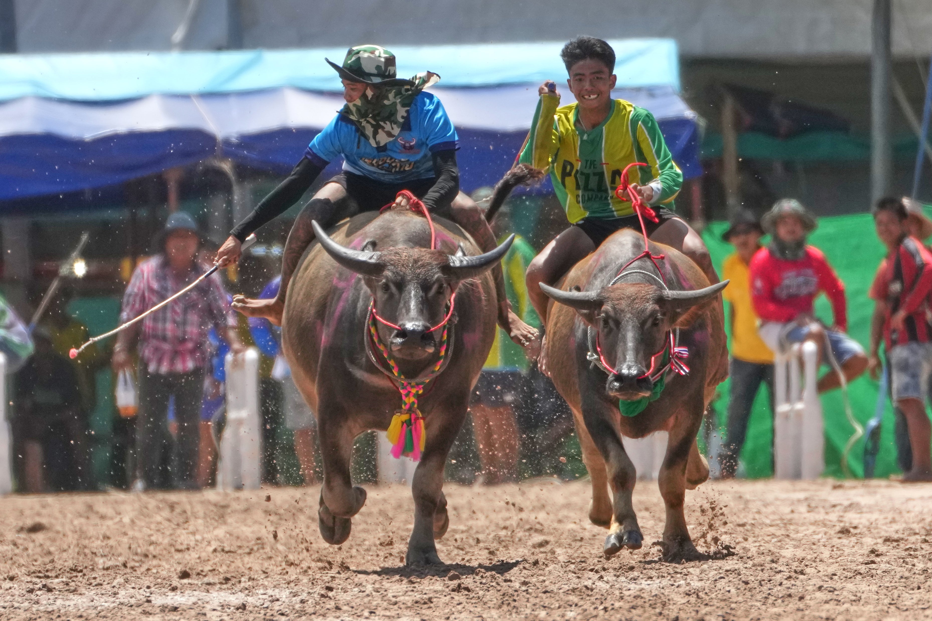 Thai buffalo racers compete in a sprint event during an annual buffalo racing festival in Chonburi, Thailand, Monday, 6 October 2025