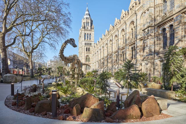 <p>London’s museums span all the way from the dinosaurs to future space travel</p>