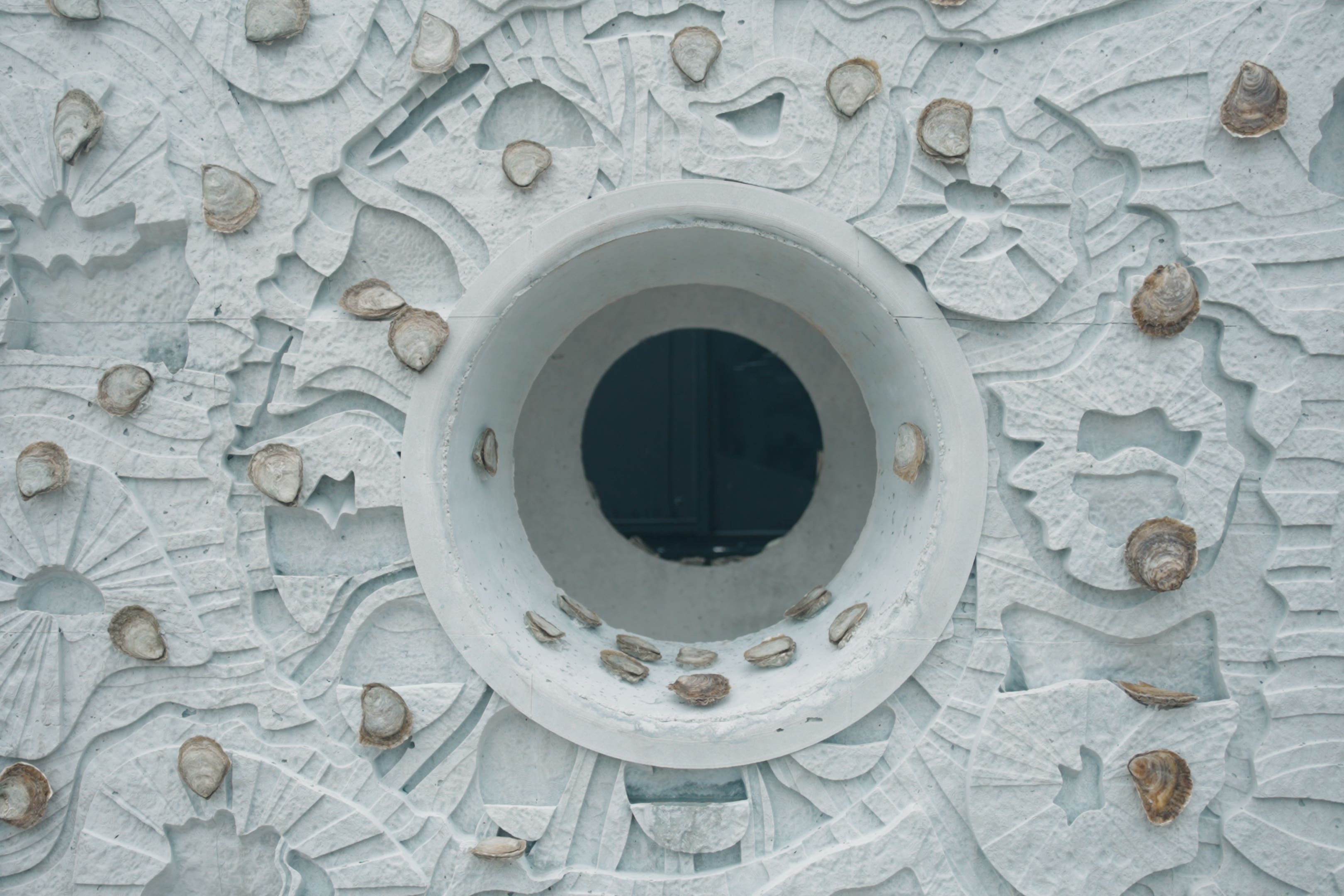 Native oysters are seen attached to the oyster reef cubes