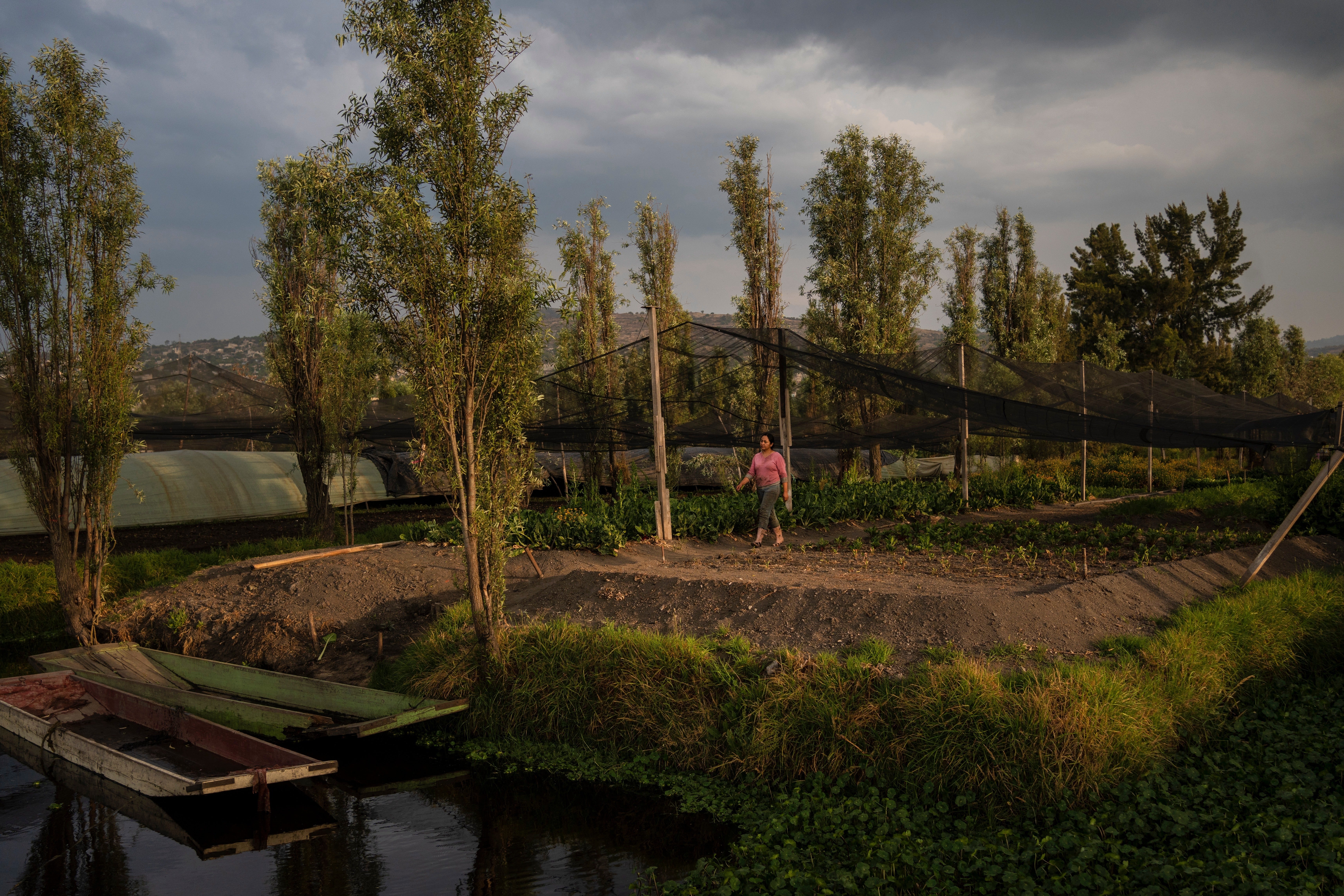 Climate Mexico Ancient Farms Women