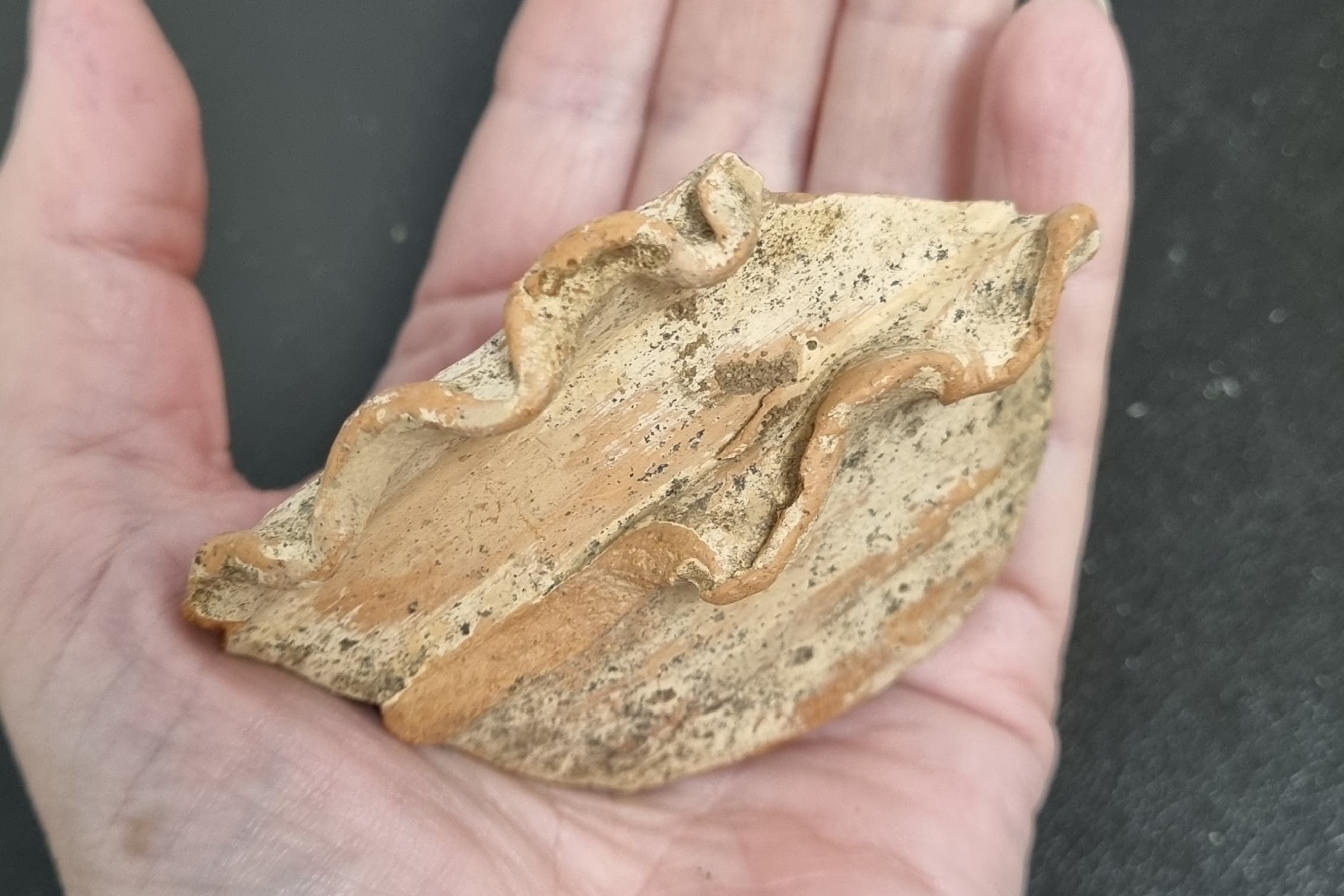 Items were found on Attingham Estate (National Trust/Suzy Watts/PA)