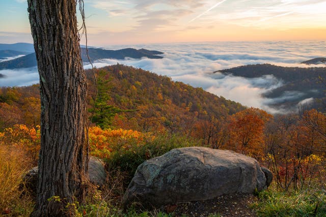 <p>Hiking trails are scattered through Shenandoah National Park, including parts of the Appalachian Trail </p>